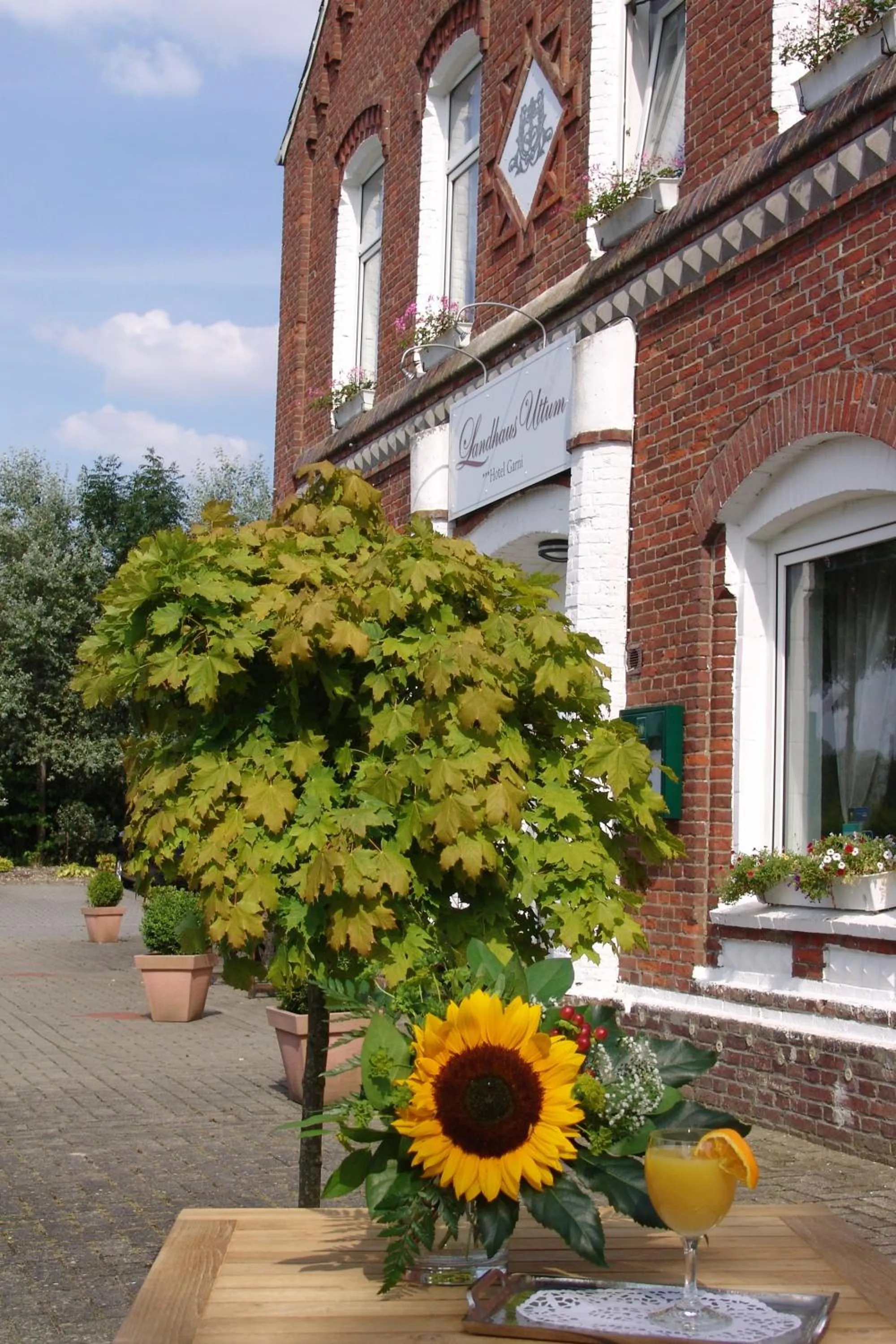 Facade/entrance in Hotel Garni Landhaus Uttum