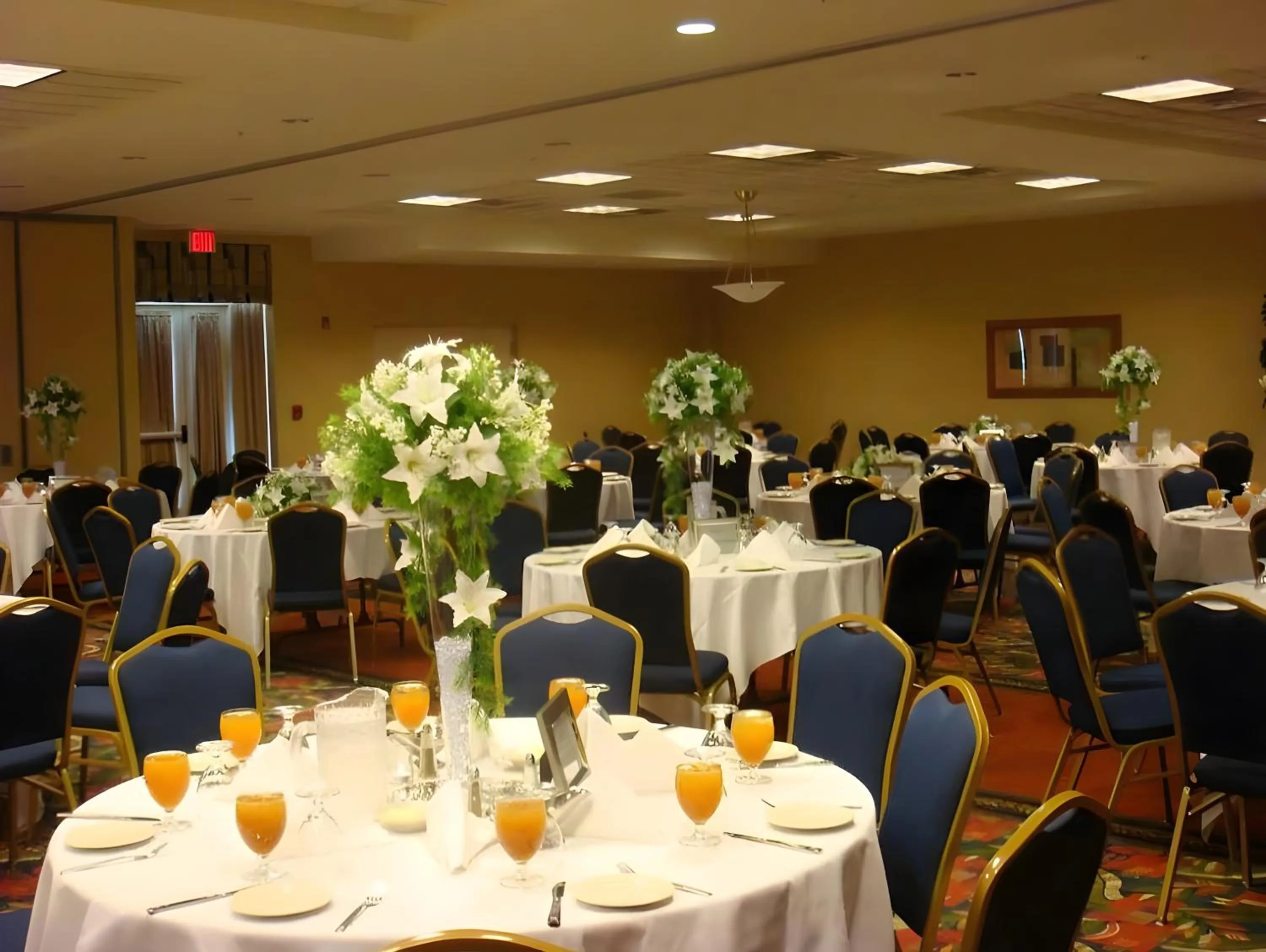 Banquet/Function facilities in Hilton Garden Inn Washington DC/Greenbelt