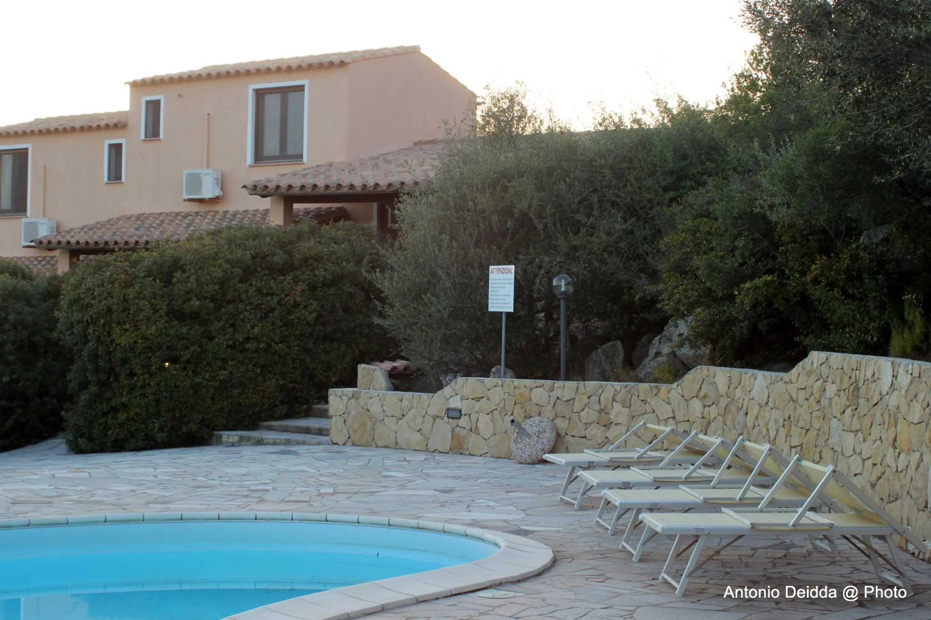 Area and facilities in Hotel Belvedere