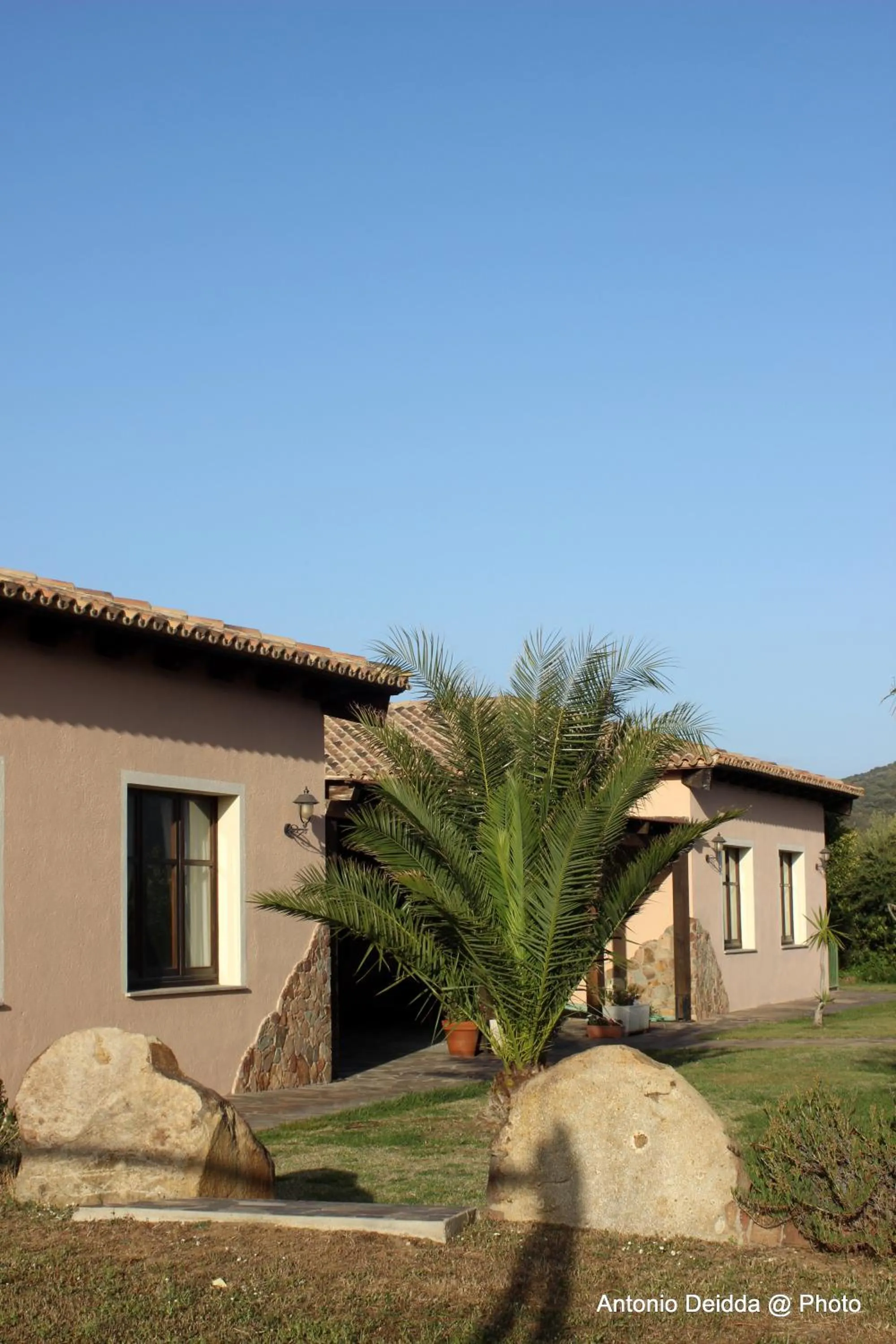 Garden in Hotel Belvedere