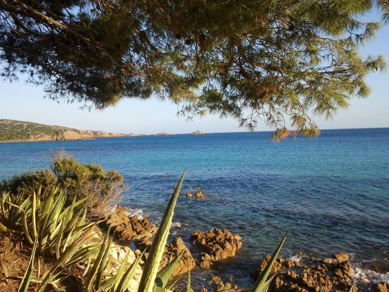Natural landscape in Hotel Belvedere