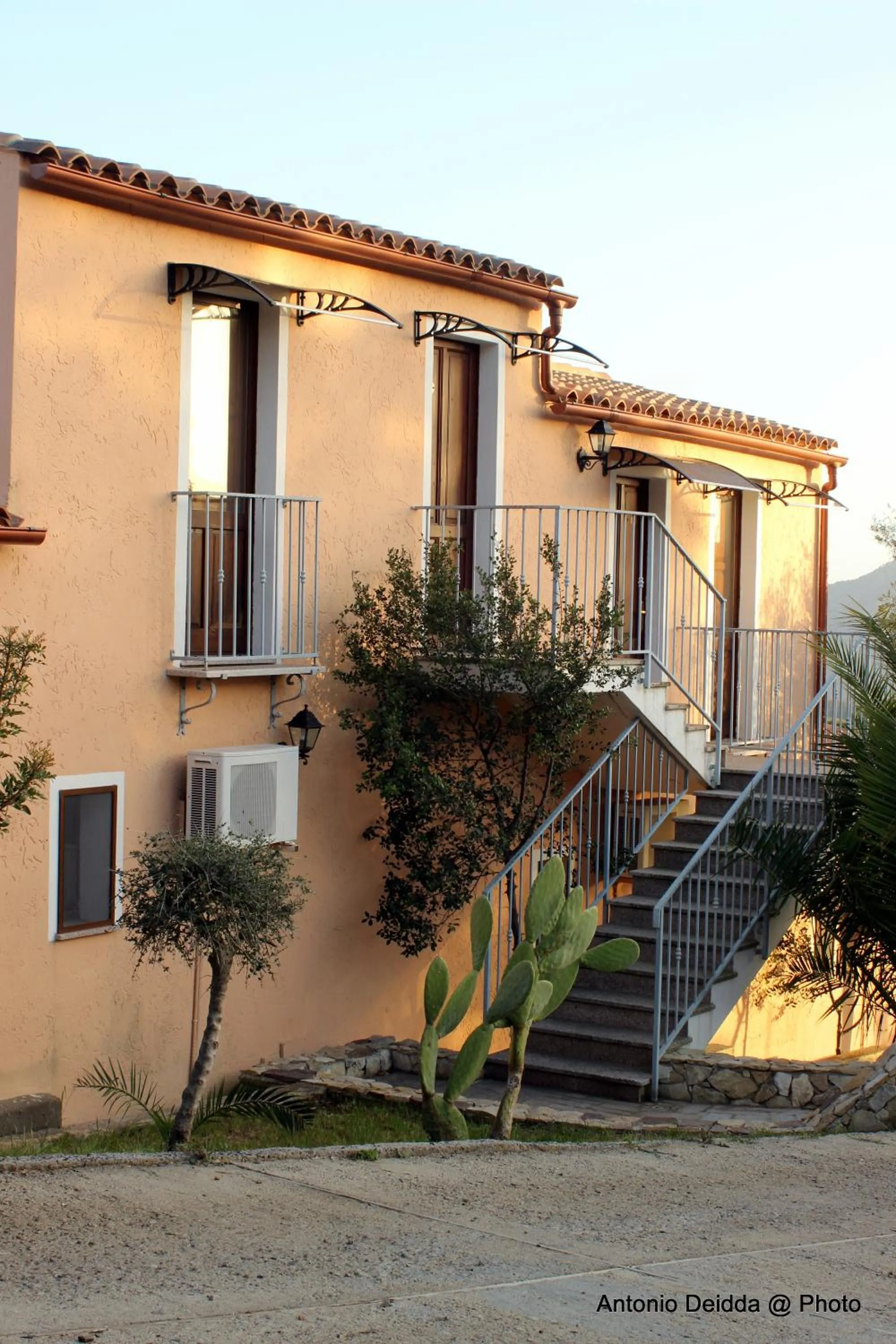 Garden view in Hotel Belvedere