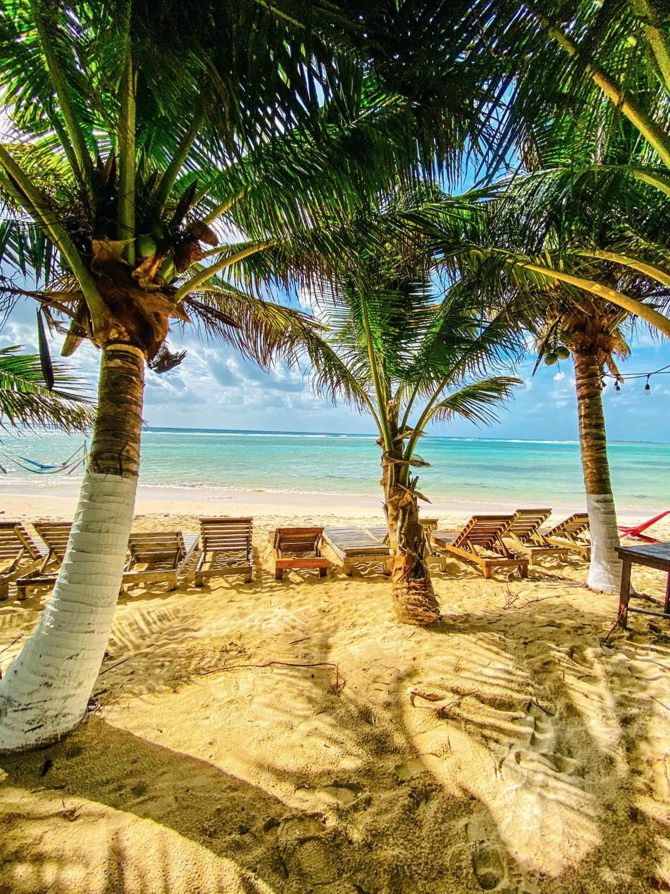 Eco Cabañas Bluekay