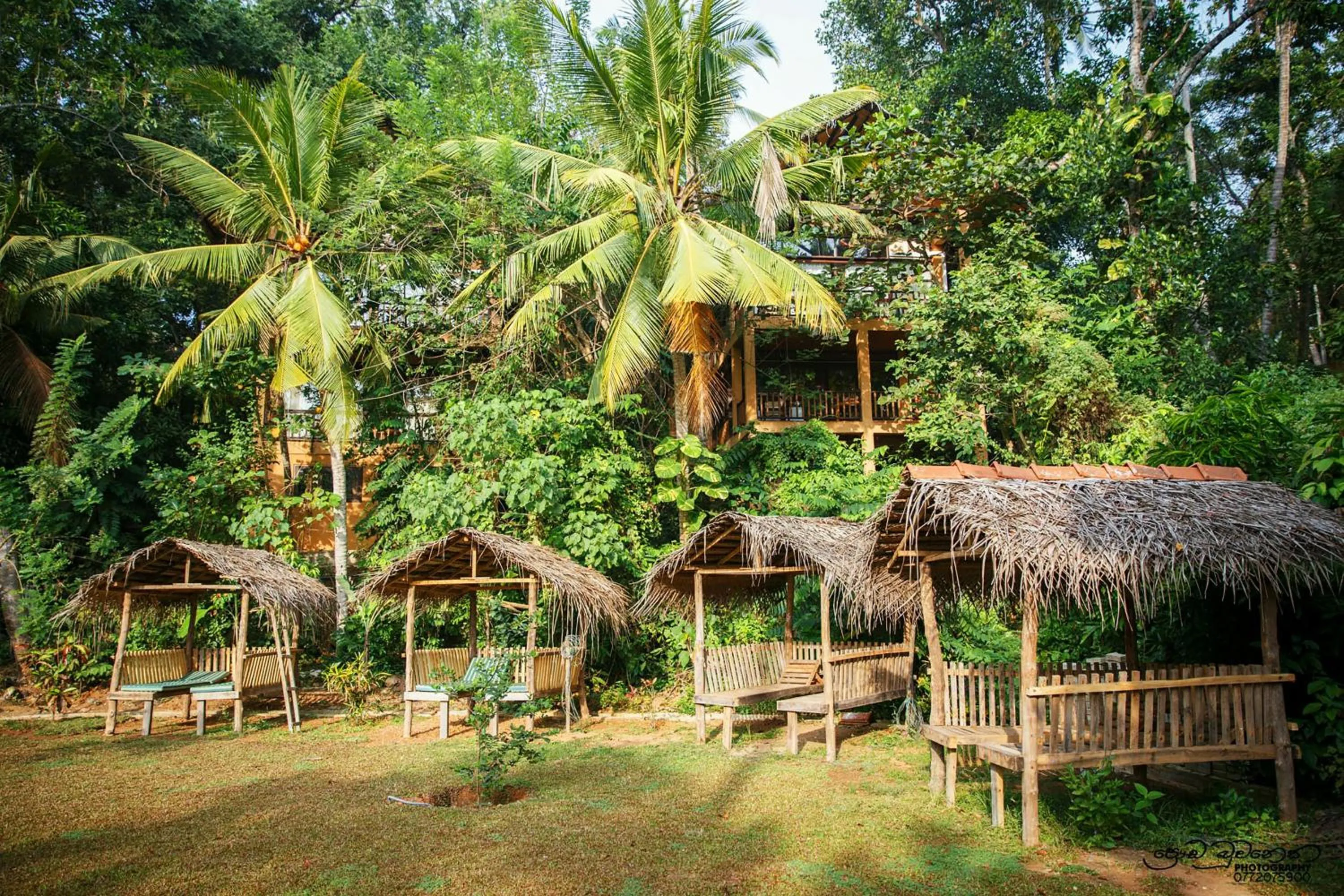 Garden in Jungle Village Unawatuna