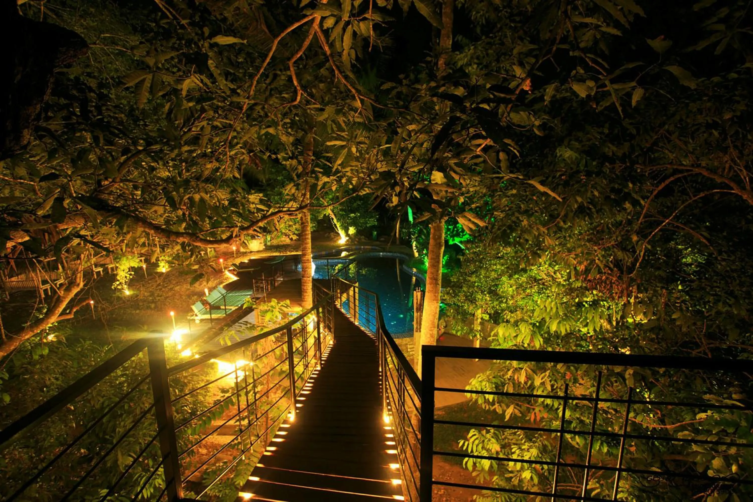 Night in Jungle Village Unawatuna