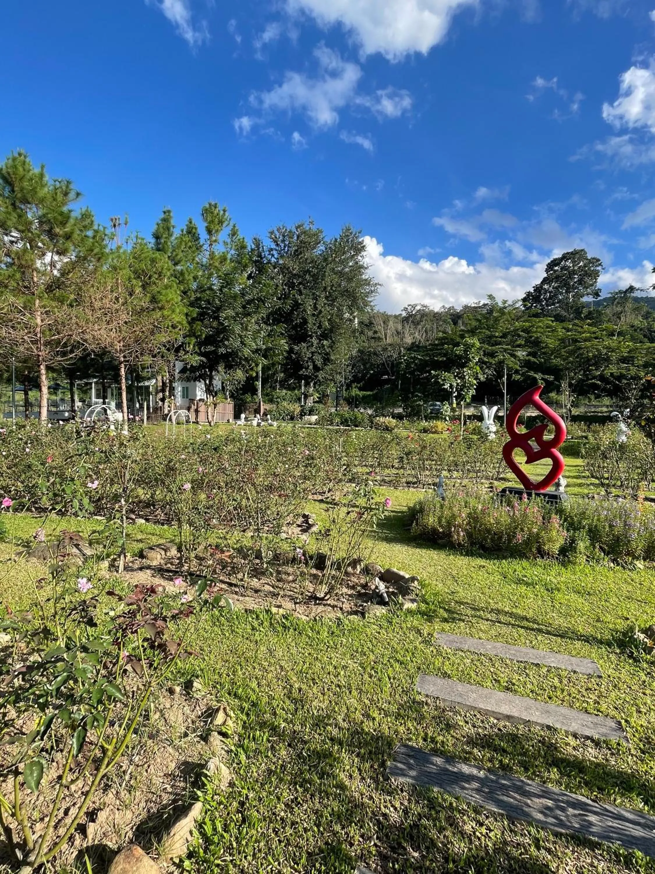 Garden in Tippaya Villa