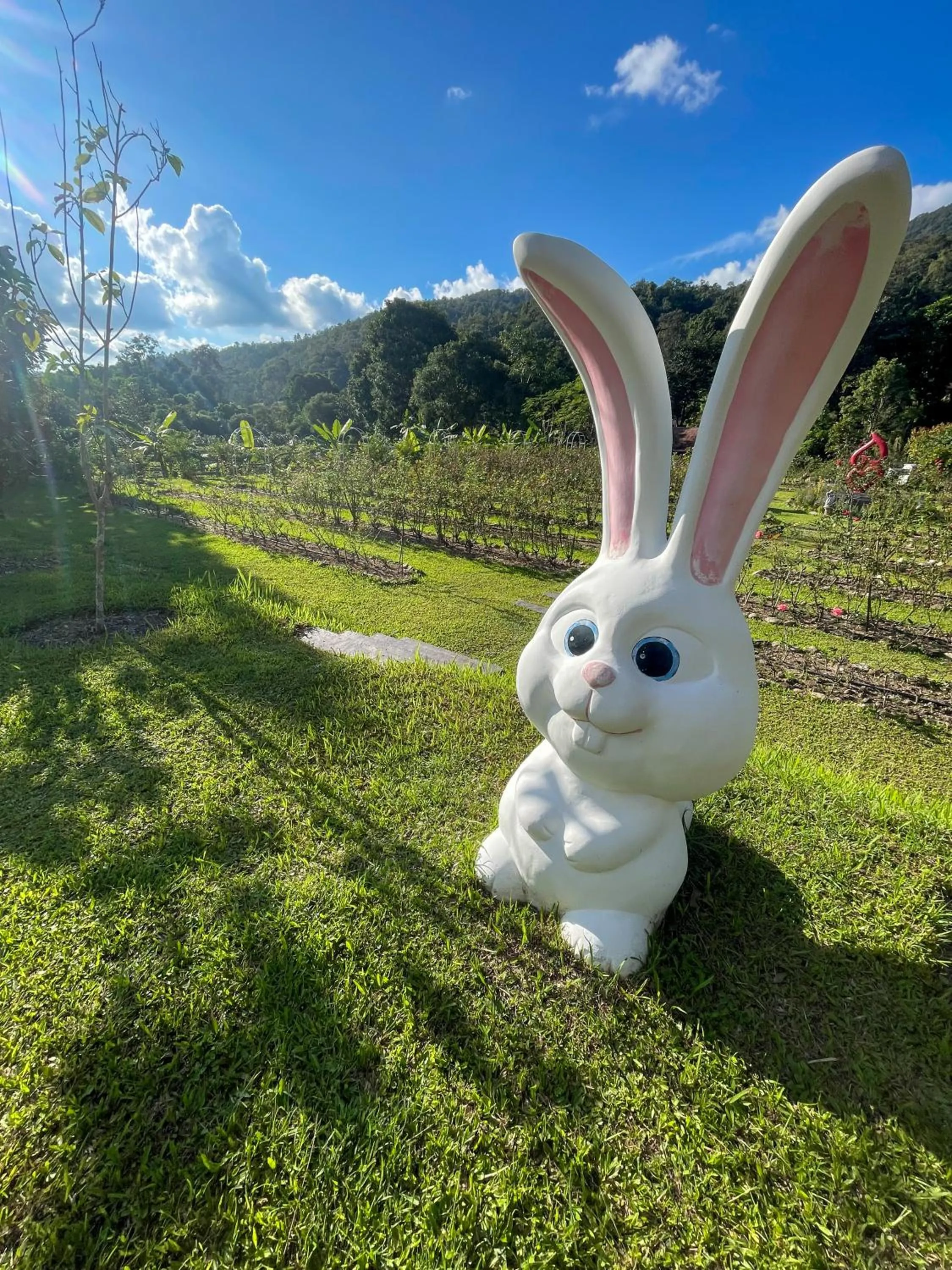 Garden view in Tippaya Villa