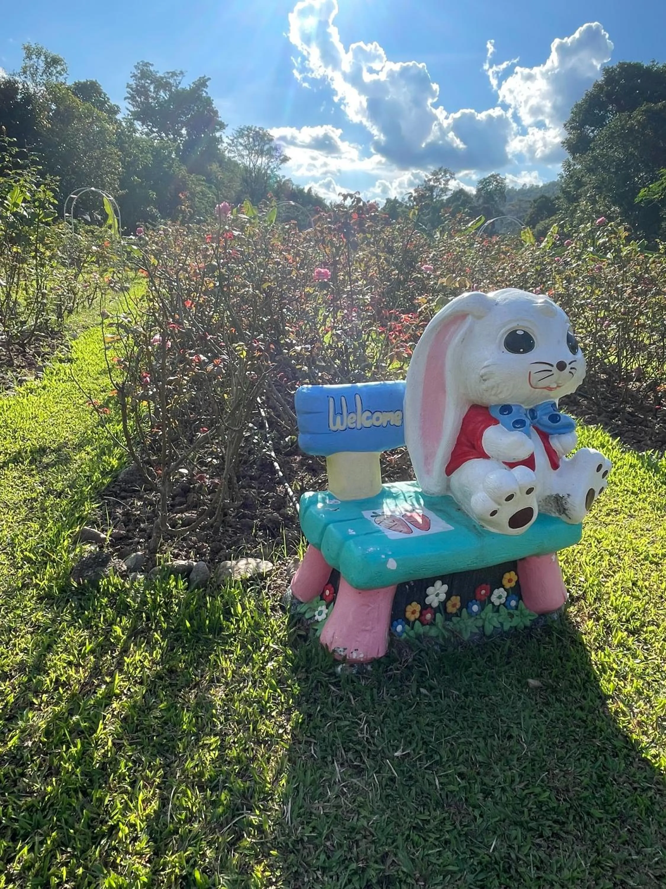 Day in Tippaya Villa