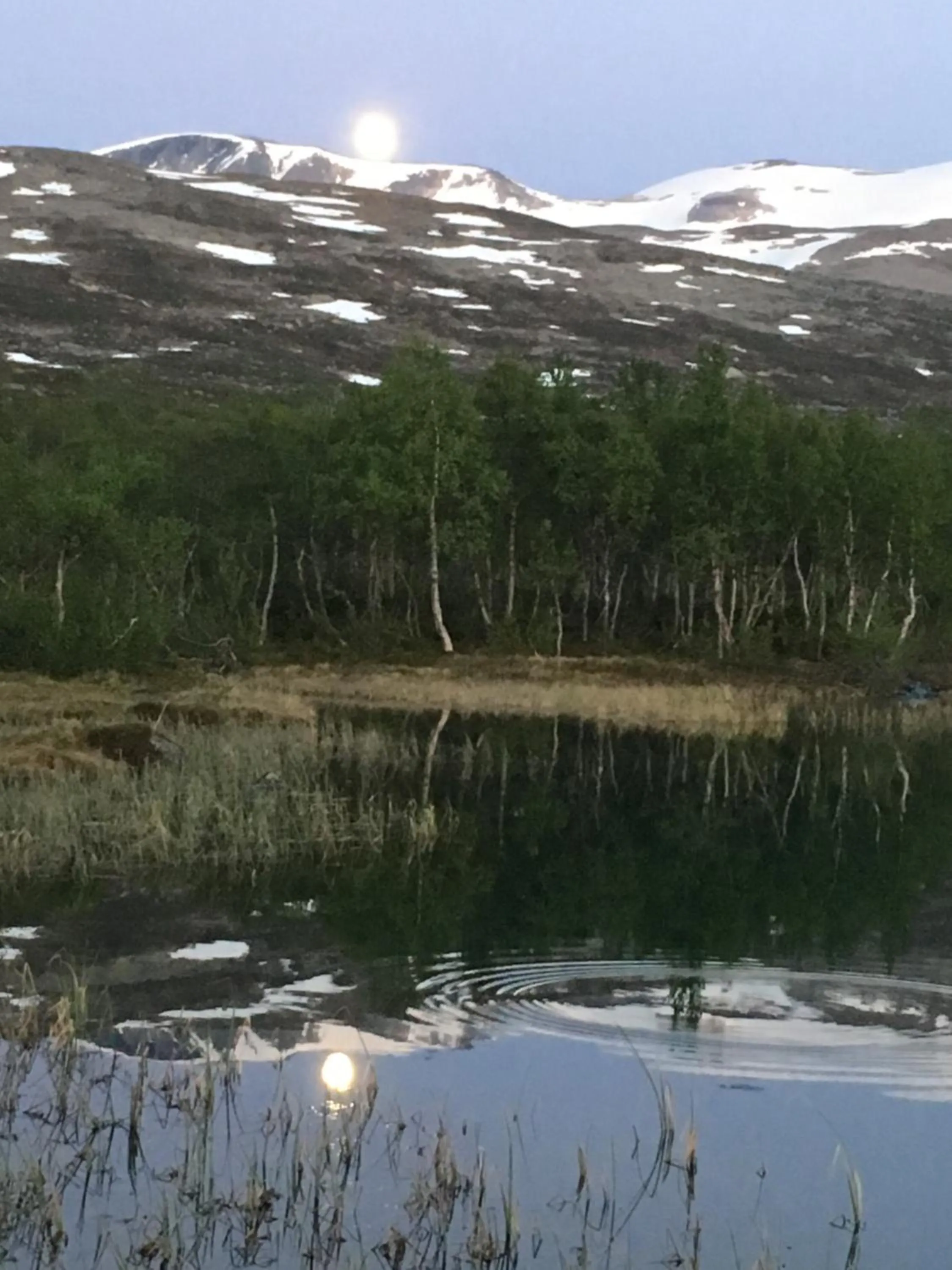 Spring in Grotli Høyfjellshotell