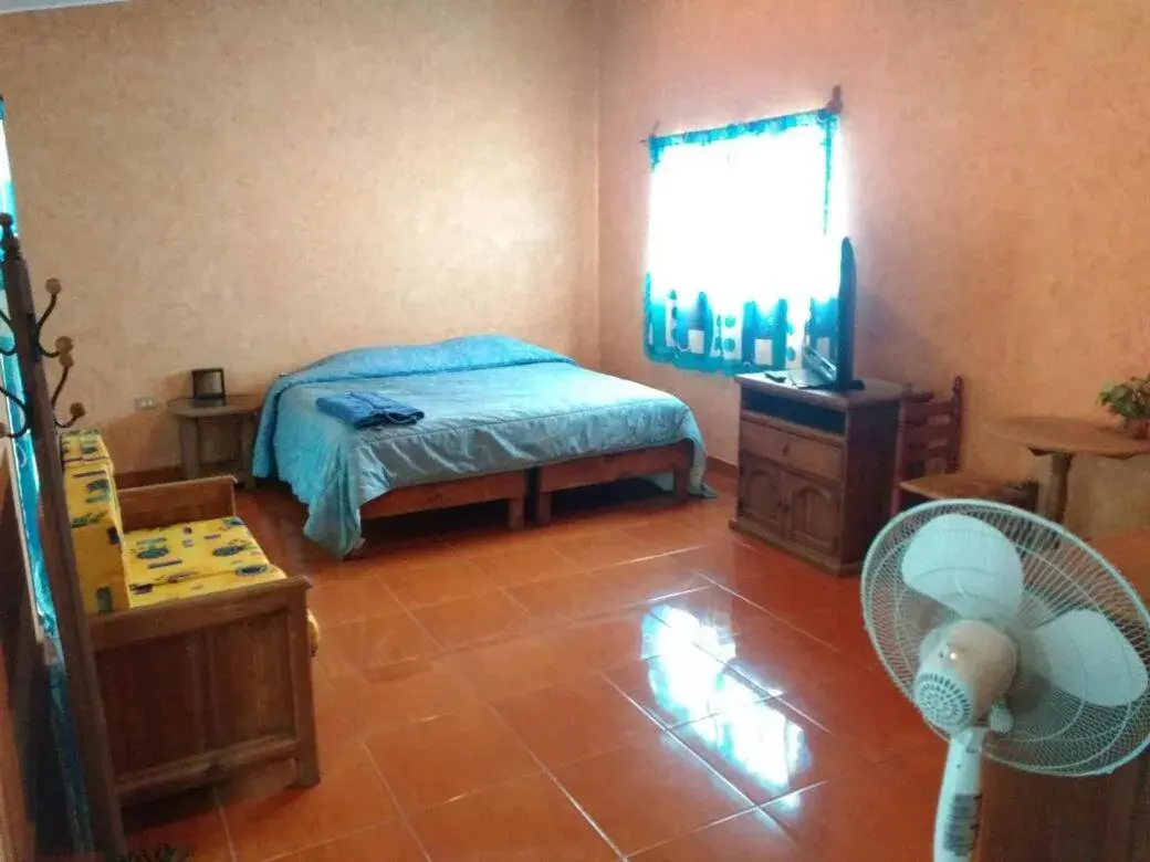 Large Single Room in Hospedaje Ornelas Large Single Room in Hospedaje Ornelas