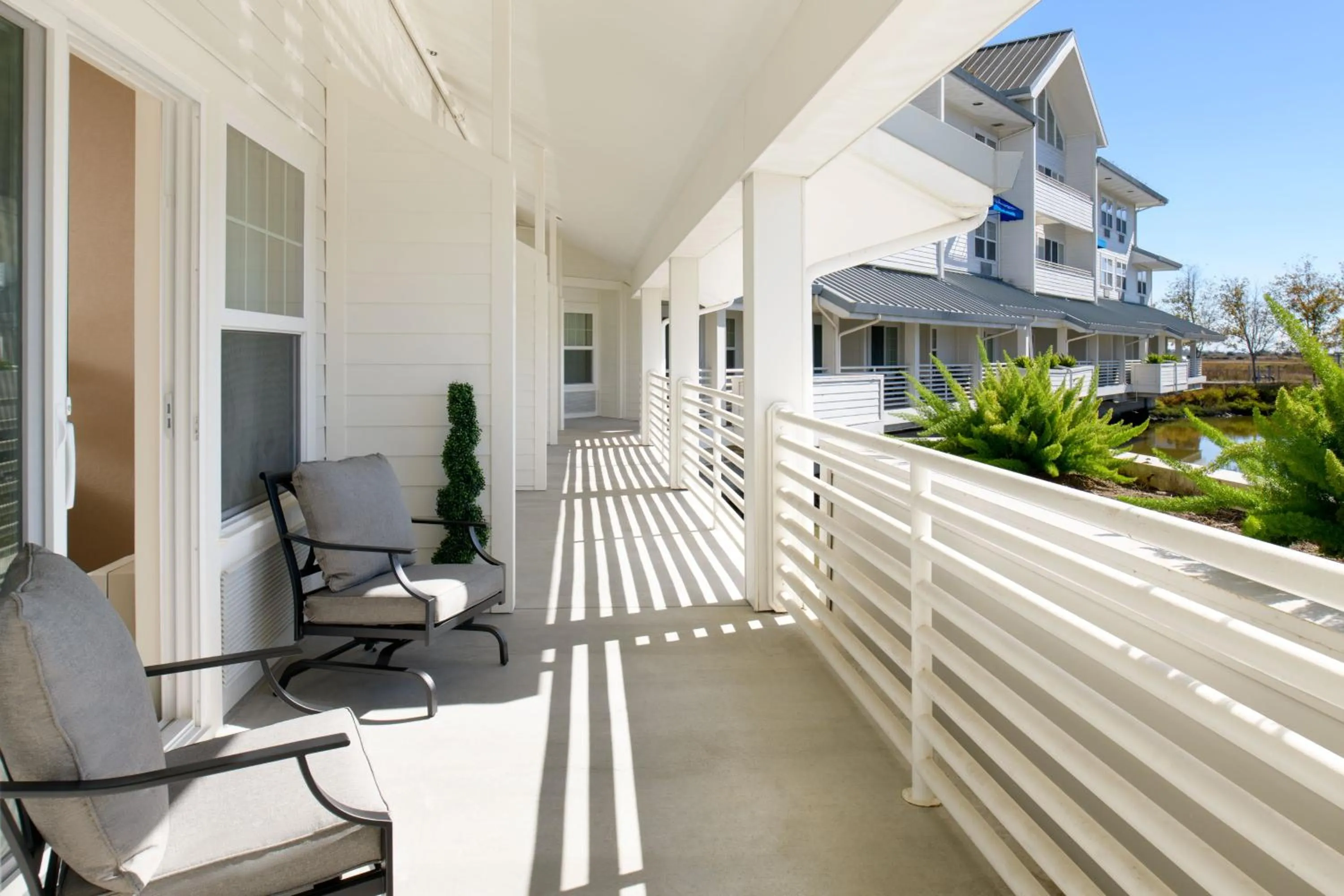 View (from property/room) in Sheraton Sonoma Wine Country Petaluma