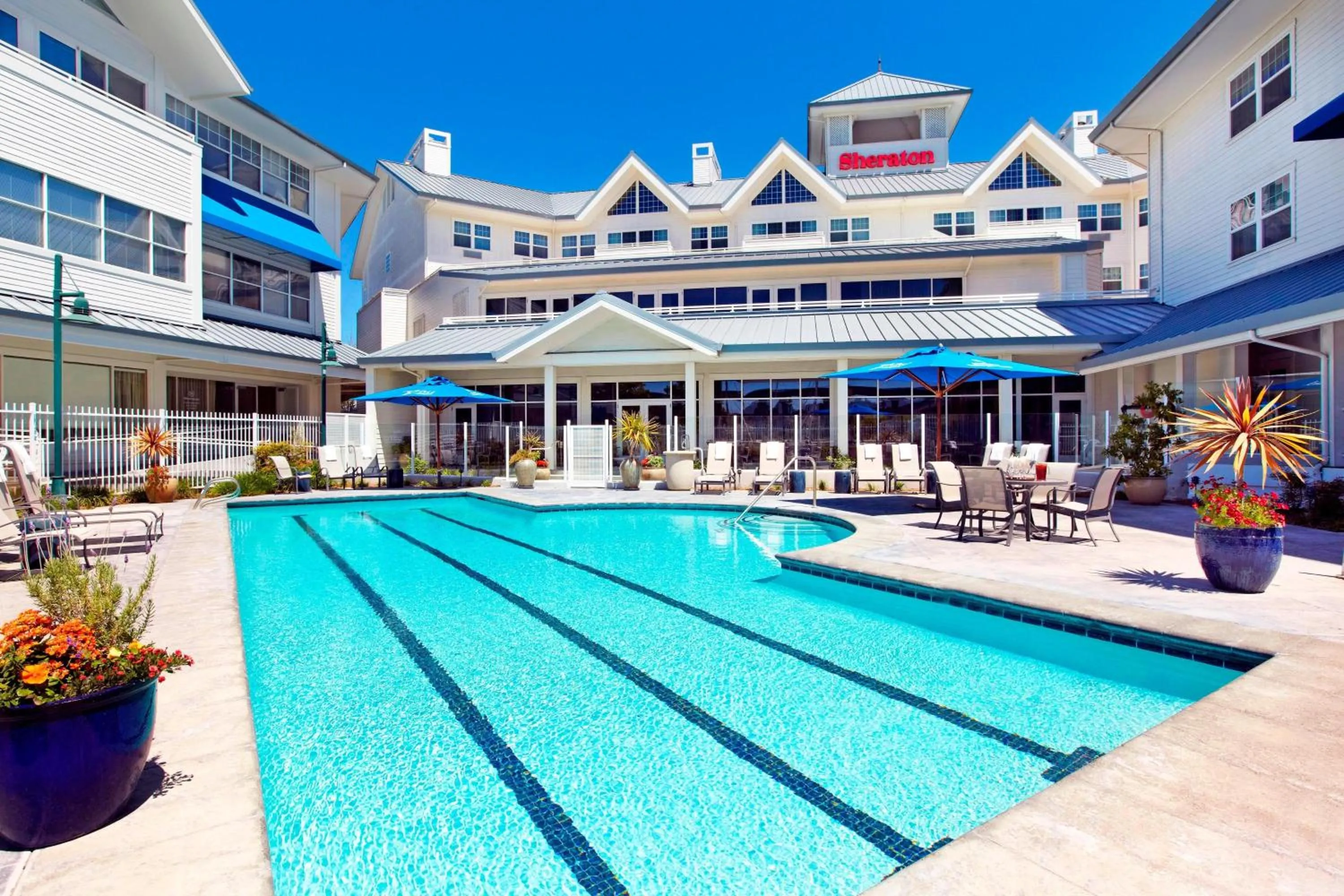 Swimming pool in Sheraton Sonoma Wine Country Petaluma