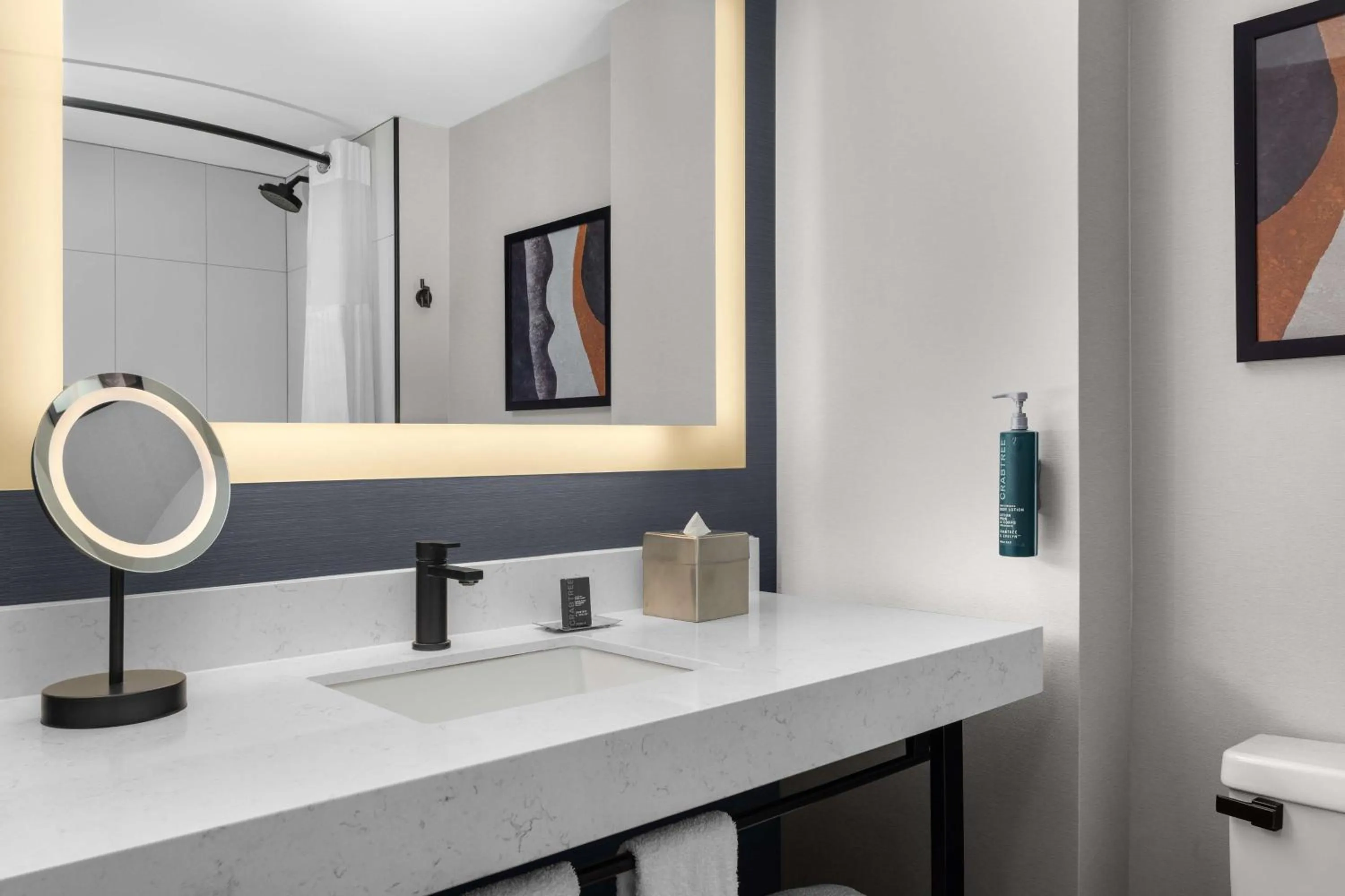 Bathroom in DoubleTree by Hilton Las Vegas Airport