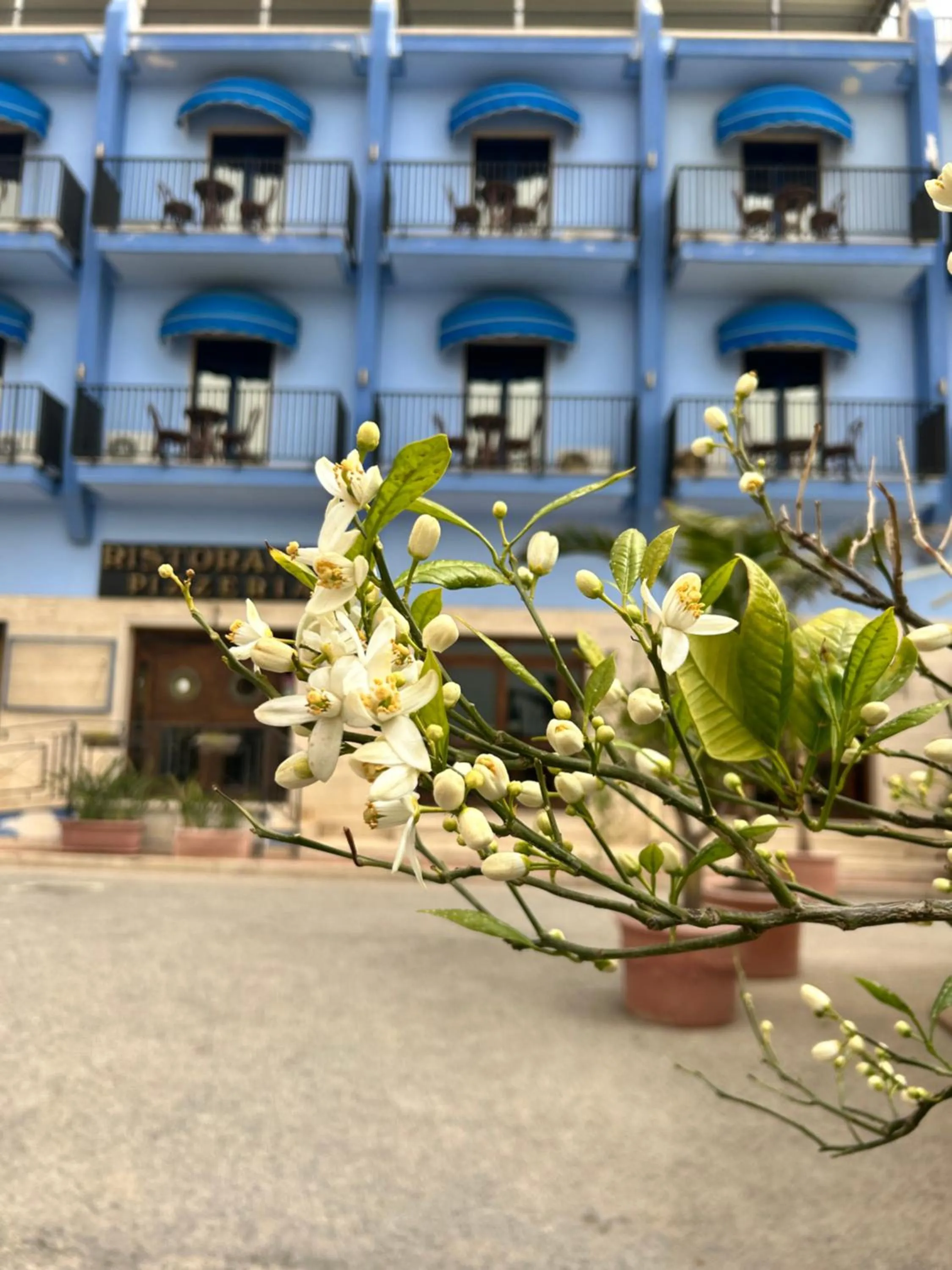 Property building in Hotel Al Faro