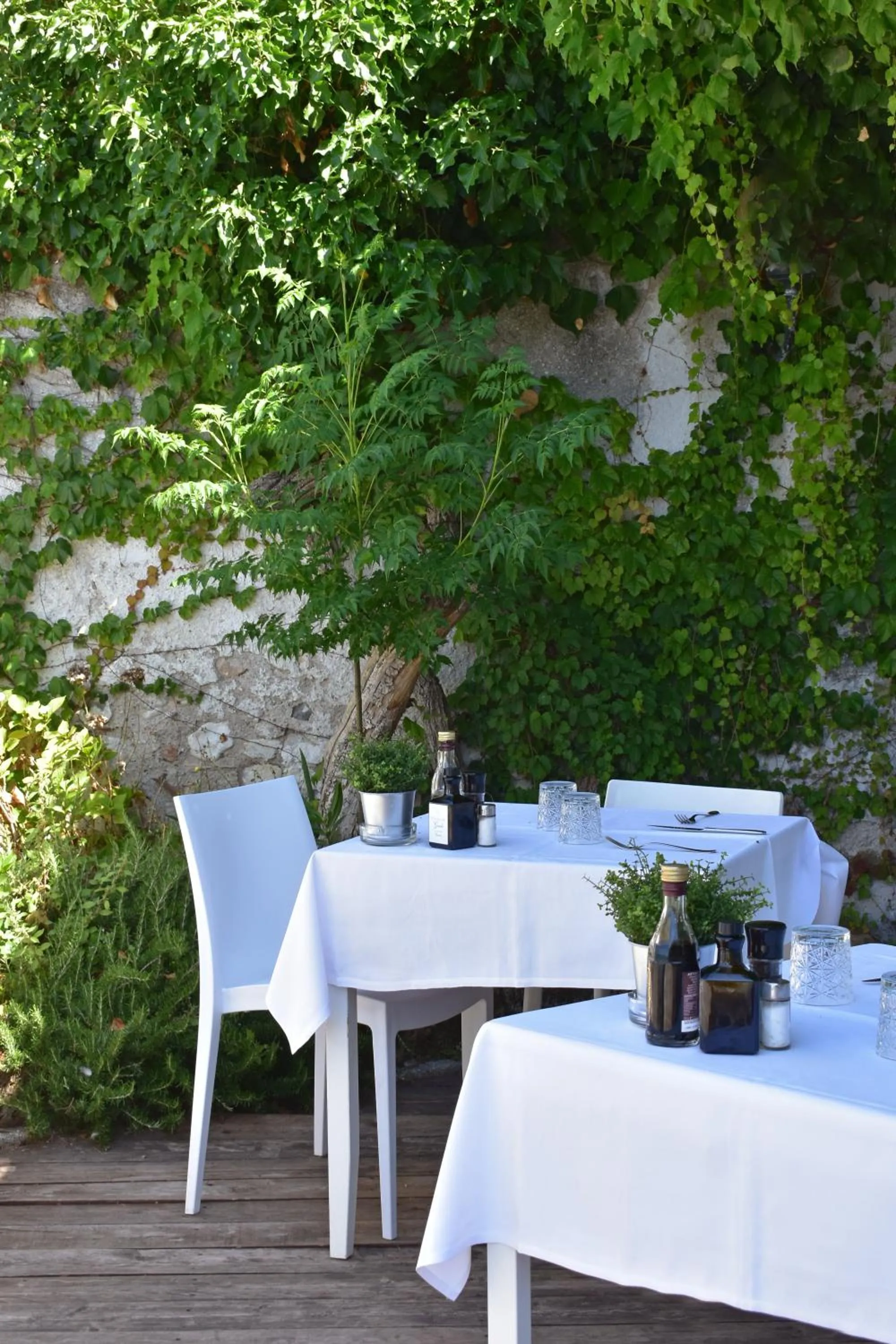 Restaurant/places to eat in Hotel Pace