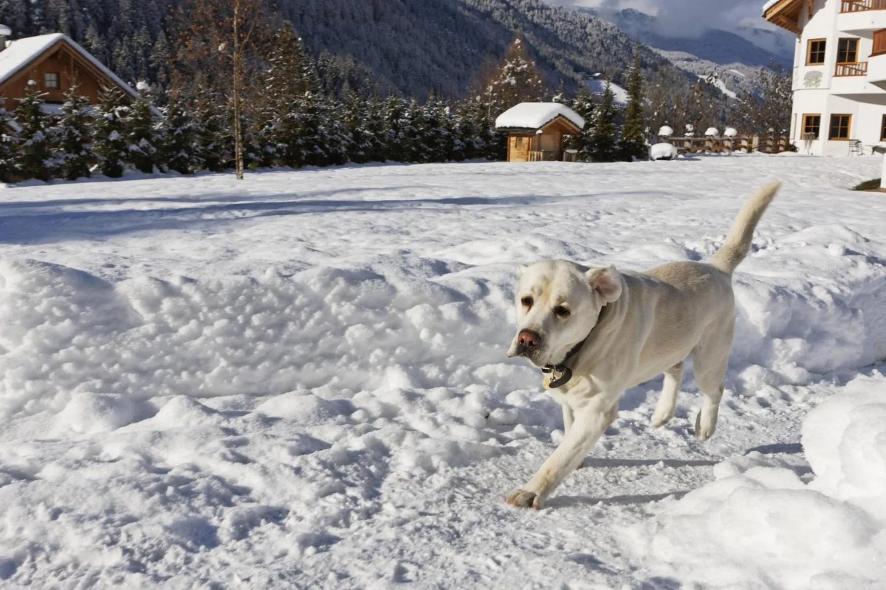 Winter in Villa Ortensia