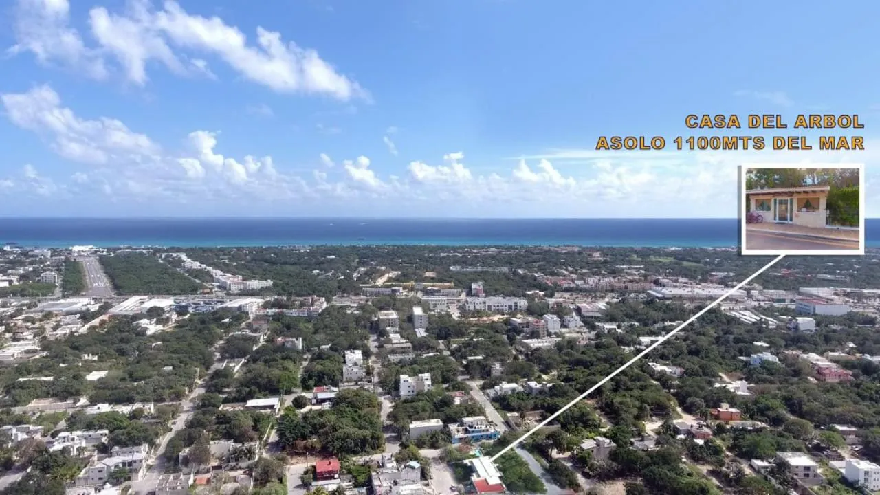 Bird's eye view in Condo Casa del Arbol