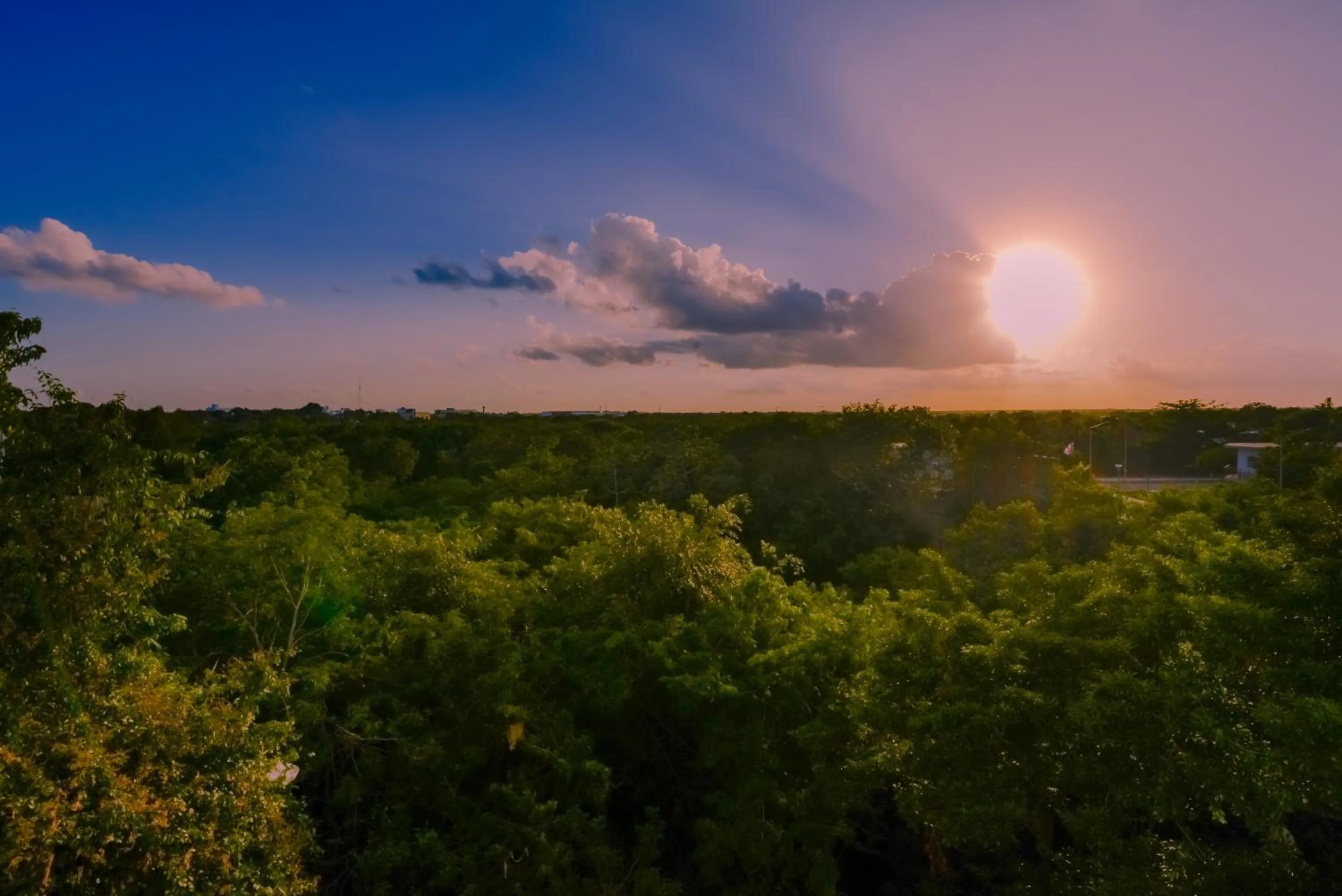 Property building in Condo Casa del Arbol