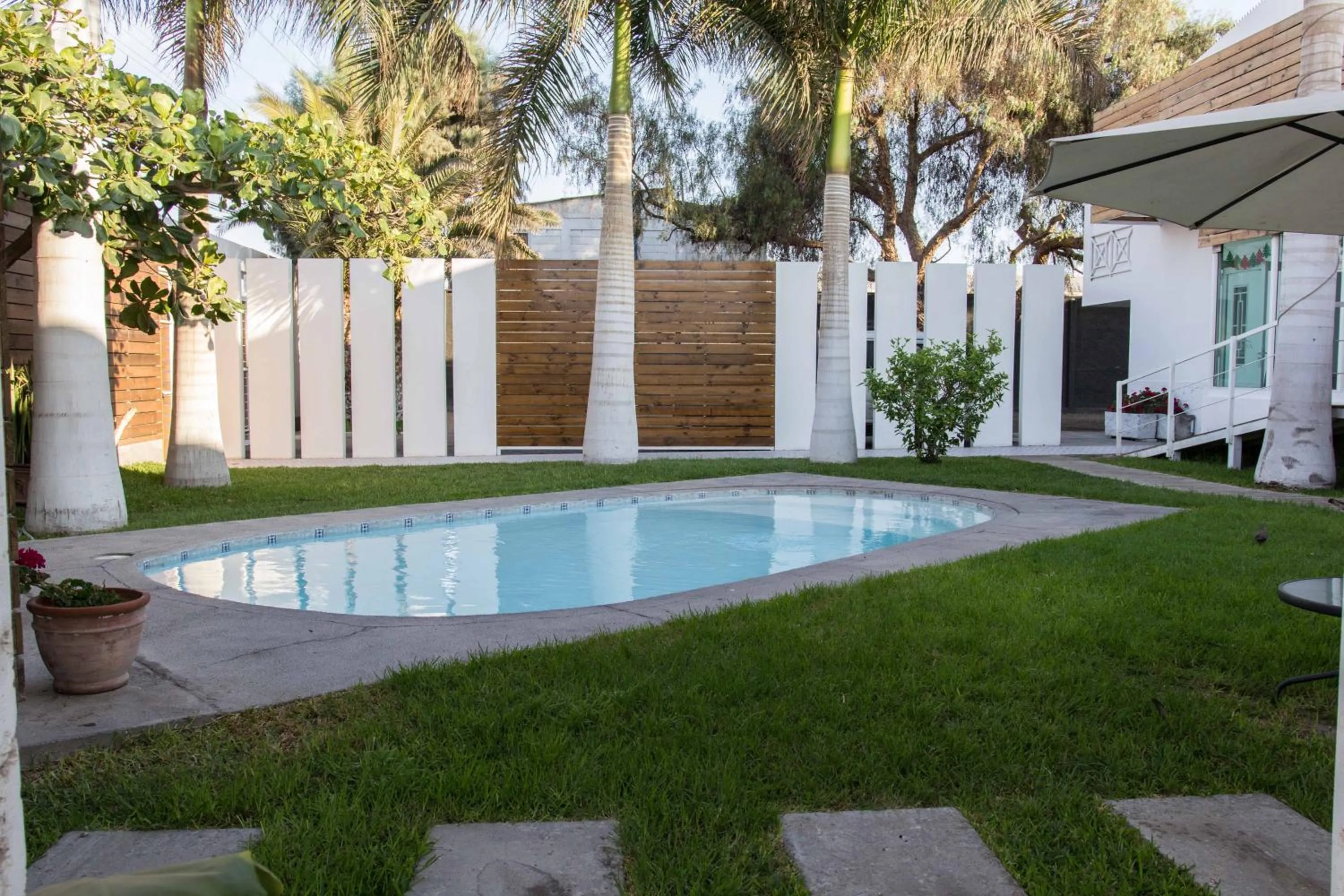 Garden in Hotel Avenida en Arica