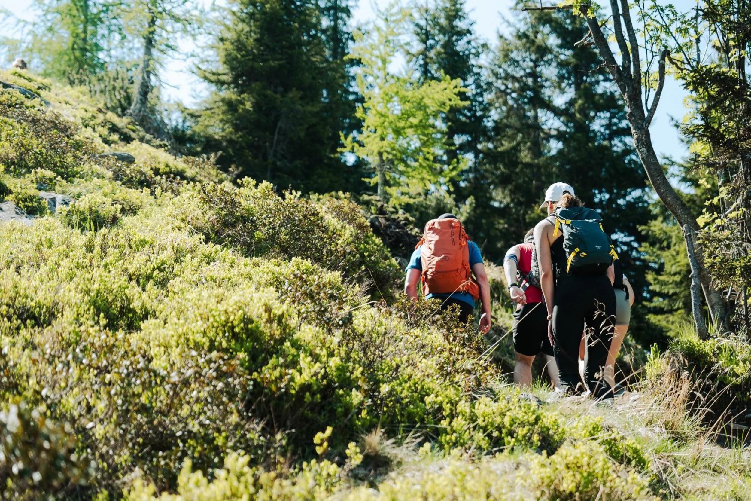 Hiking in Mountain Hotel & Hostel