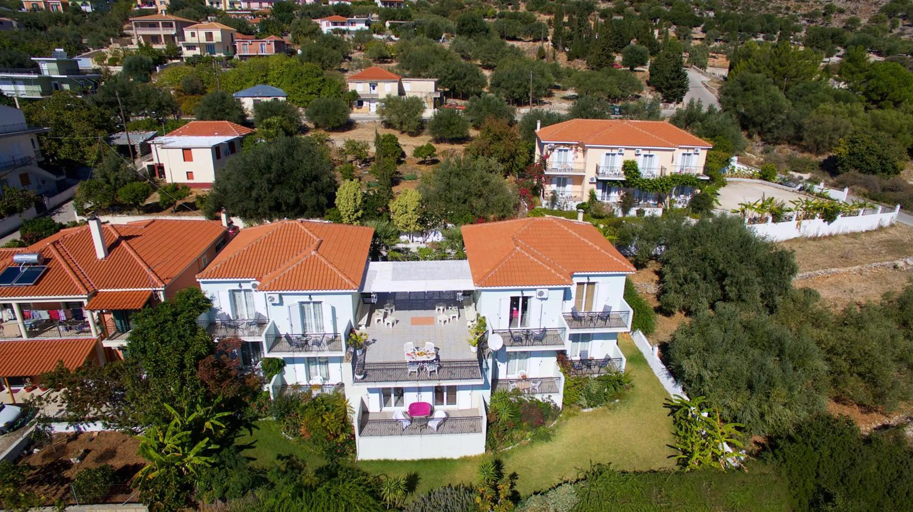 Bird's eye view in Summer Dream