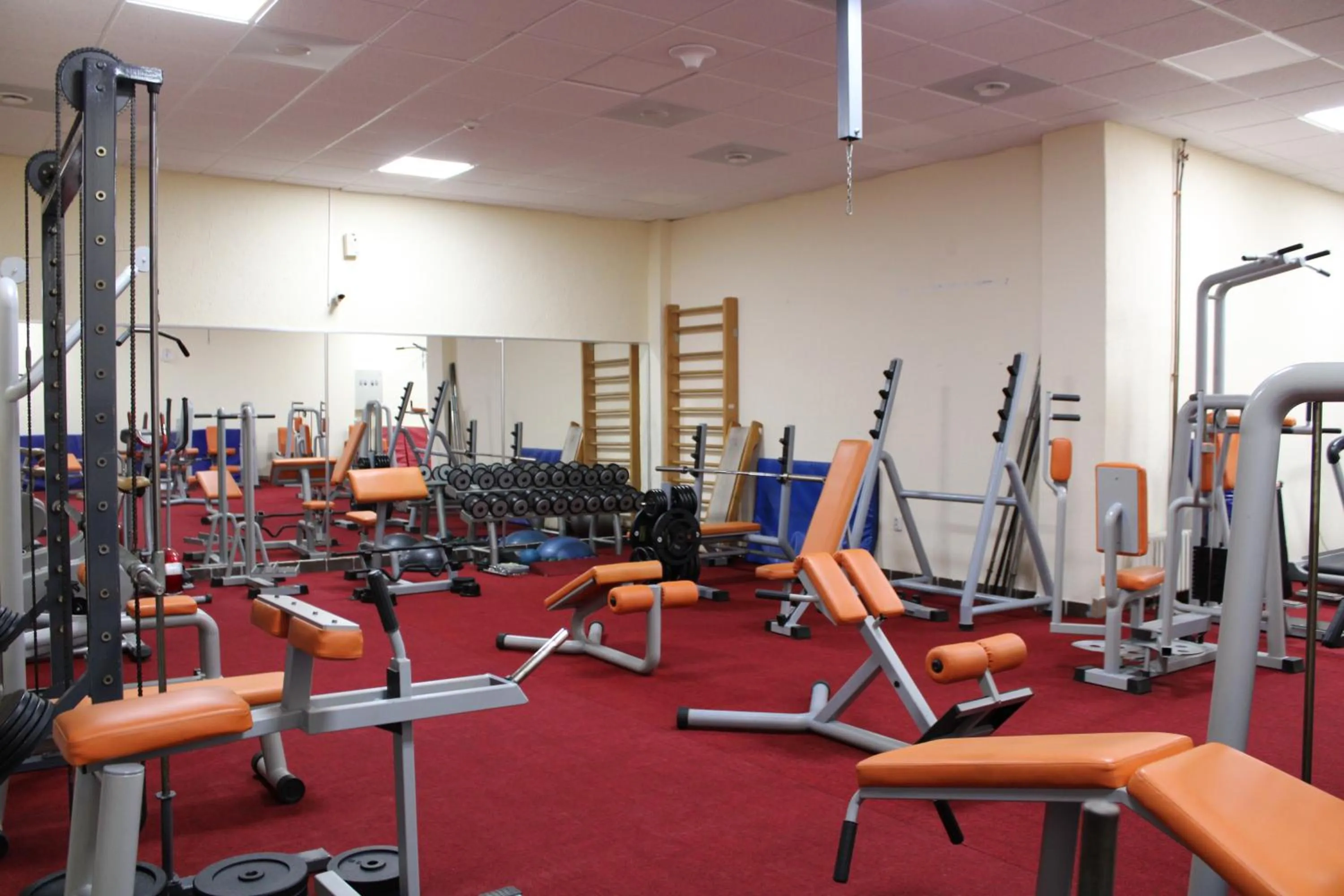 Property building in Hotel Junior