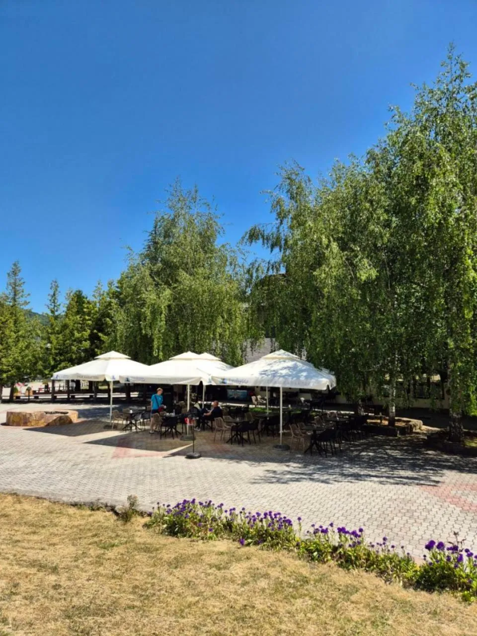 Balcony/Terrace in Hotel Junior