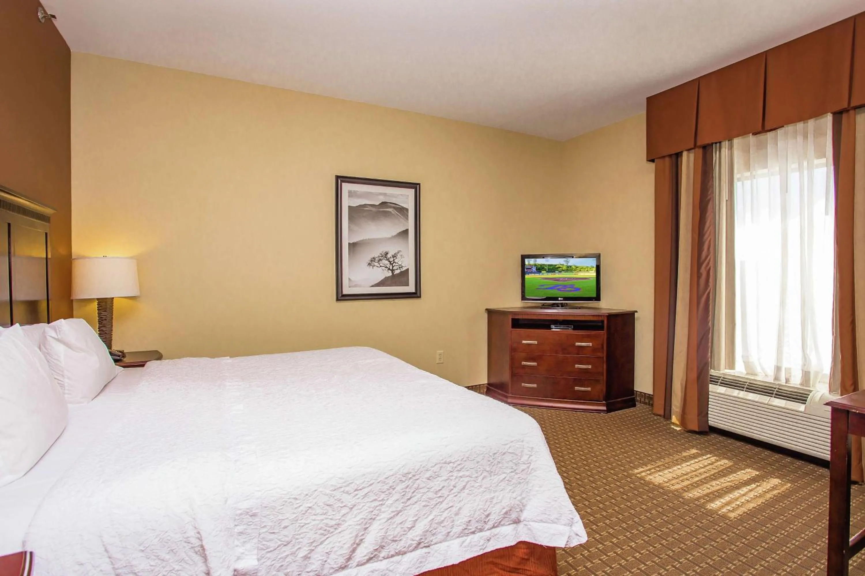 Bedroom, Bed in Hampton Inn & Suites Sevierville at Stadium Drive