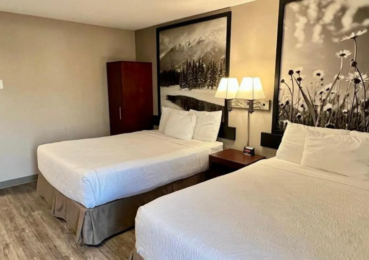 Bed in Quality Inn & Suites