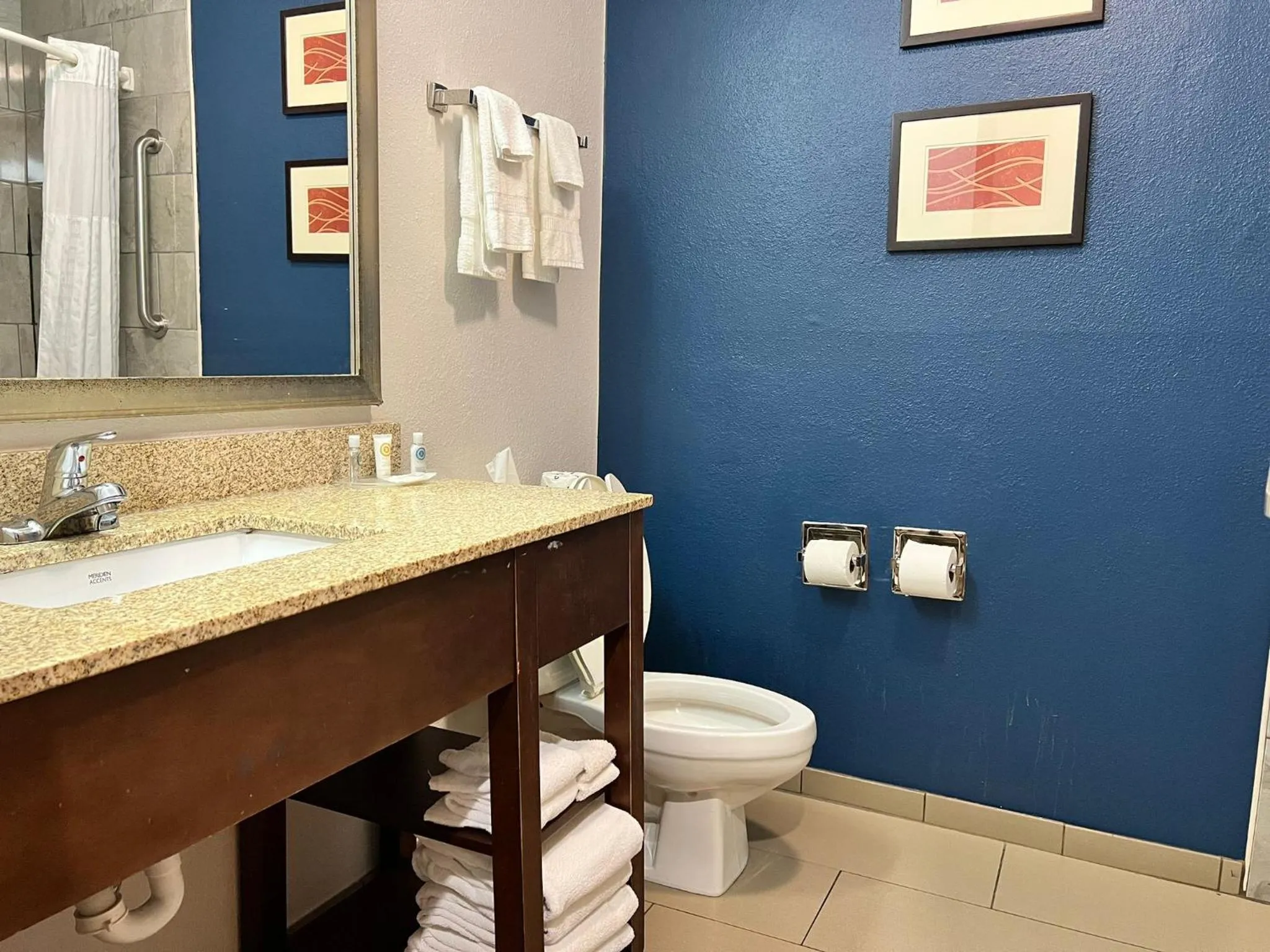 Shower in Comfort Suites Louisville East