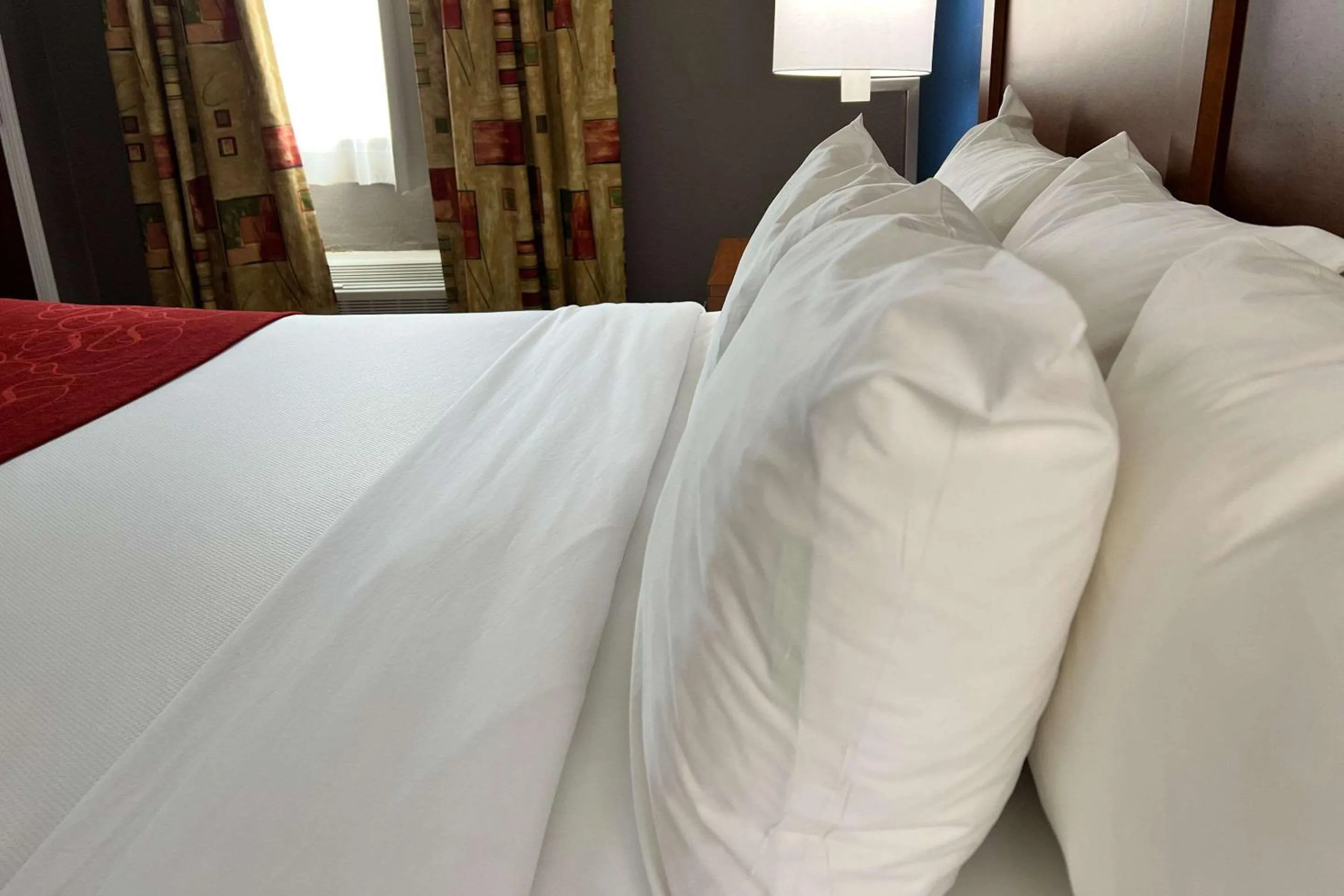 Bedroom, Bed in Comfort Suites Louisville East