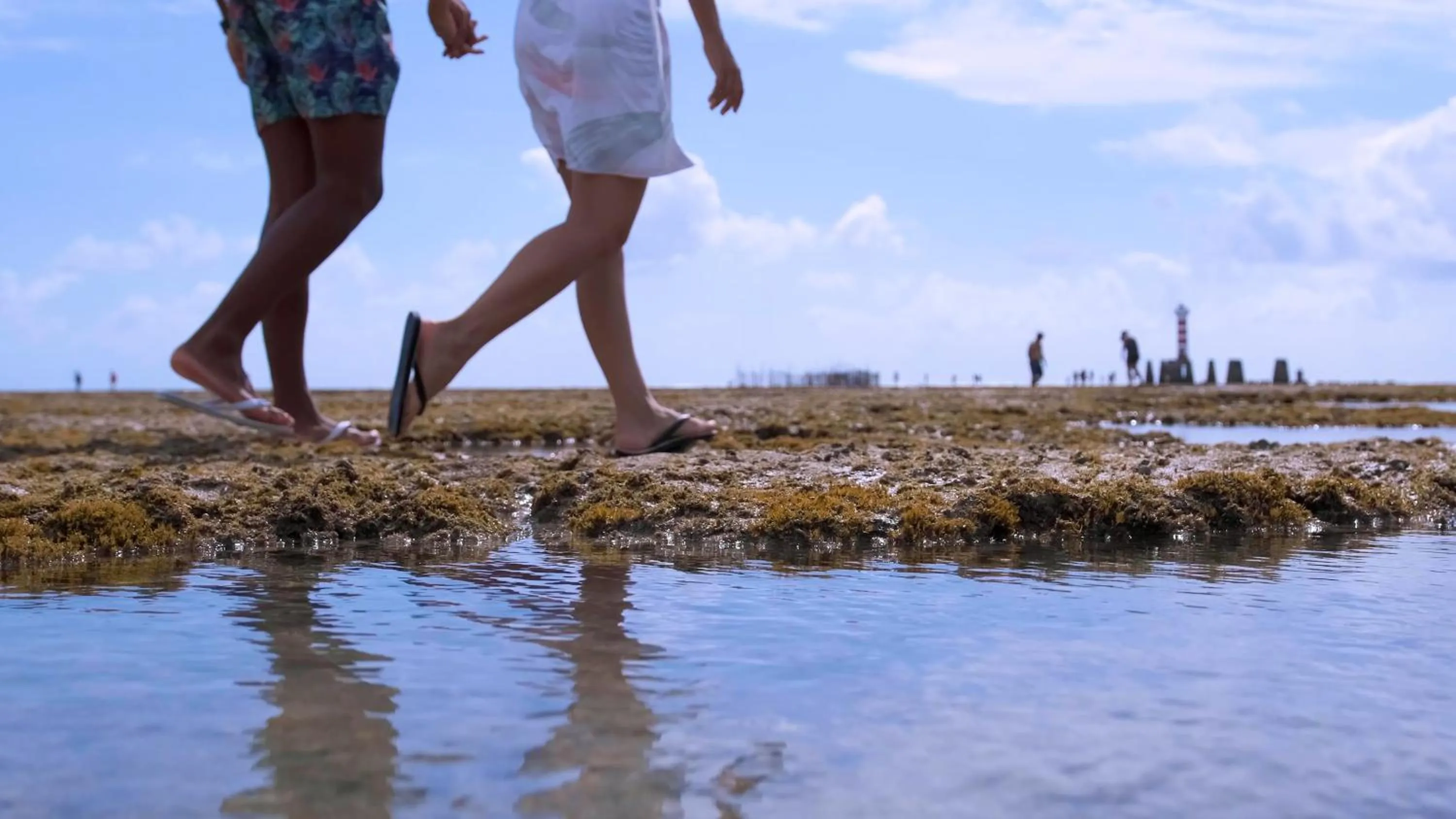 Nearby landmark in Palms Ponta Verde by Tropicalis