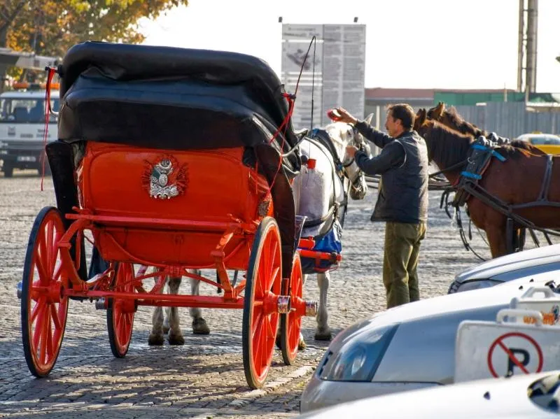 Arges old city hotel