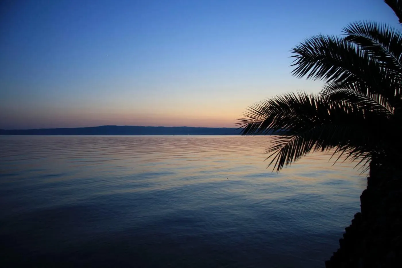 Restaurant/places to eat in Hotel Eden Sul Lago