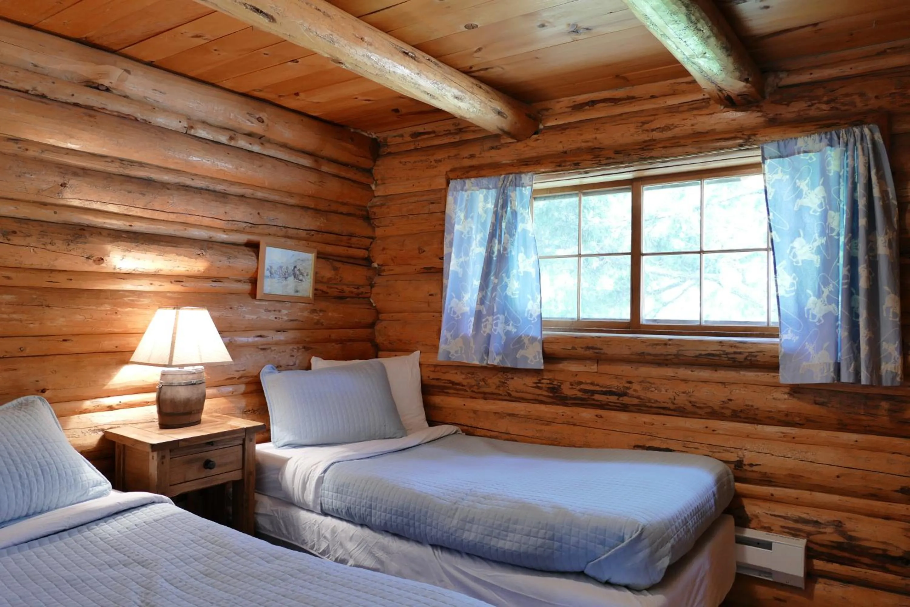 Bed in Trail Shop Inn