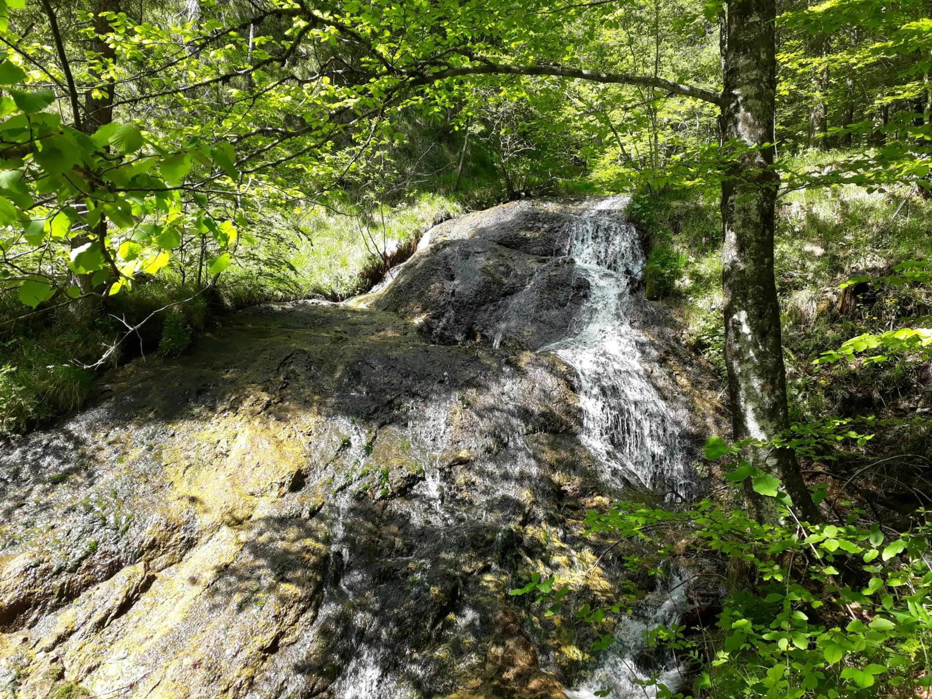 Natural landscape in Sportlerhof - Alimann UaB