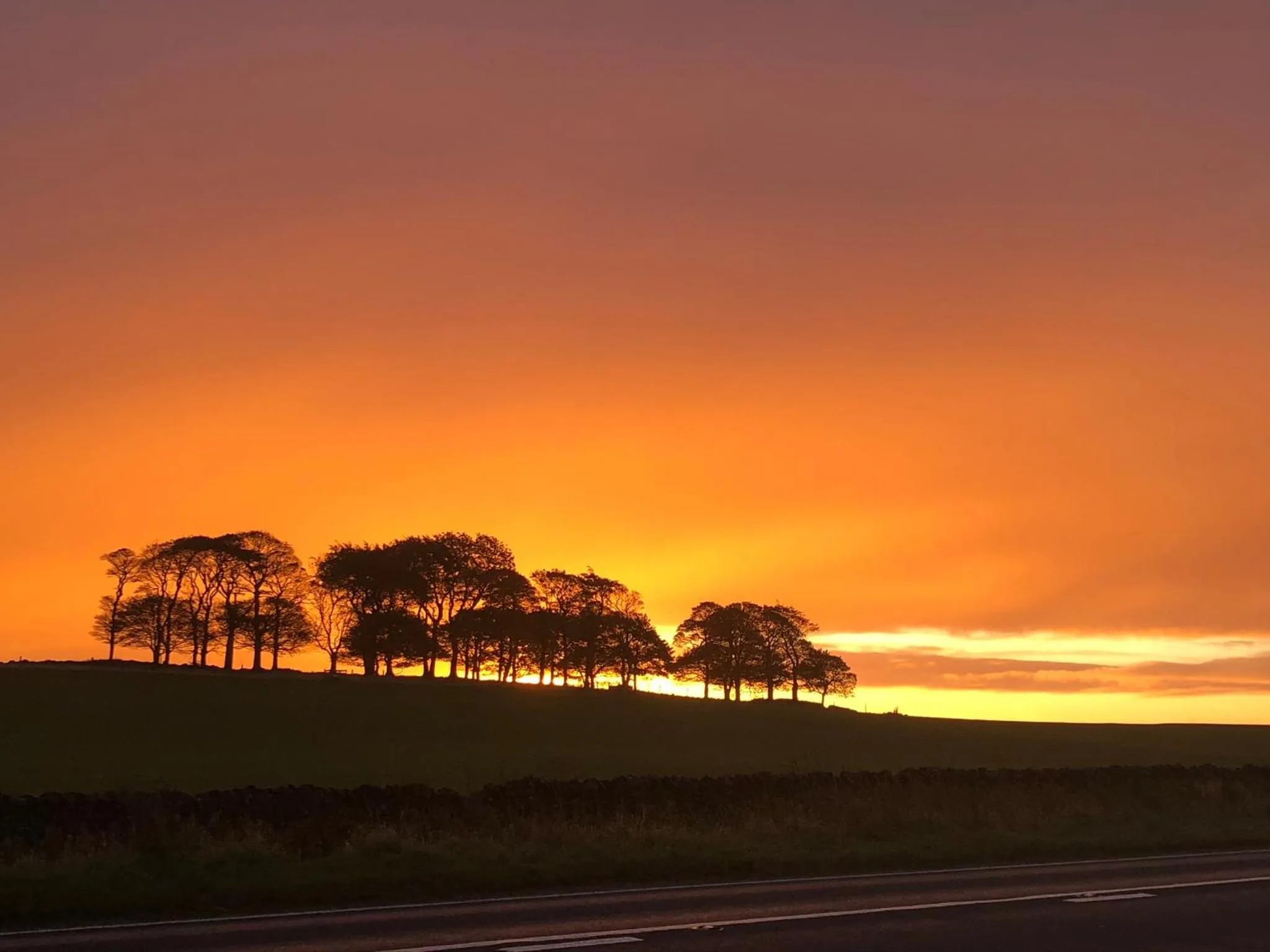 View (from property/room) in The Jug & Glass Inn