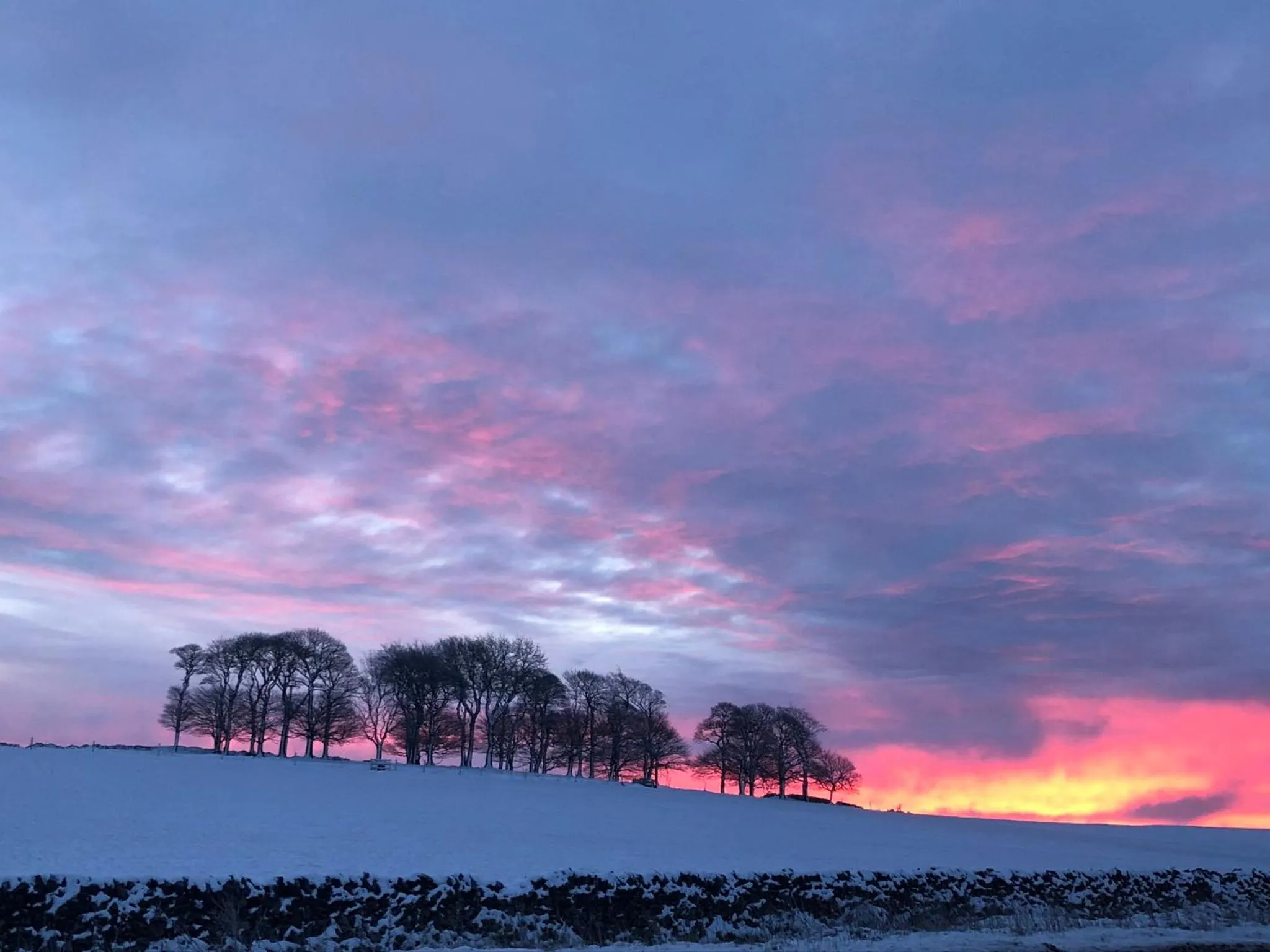 View (from property/room) in The Jug & Glass Inn