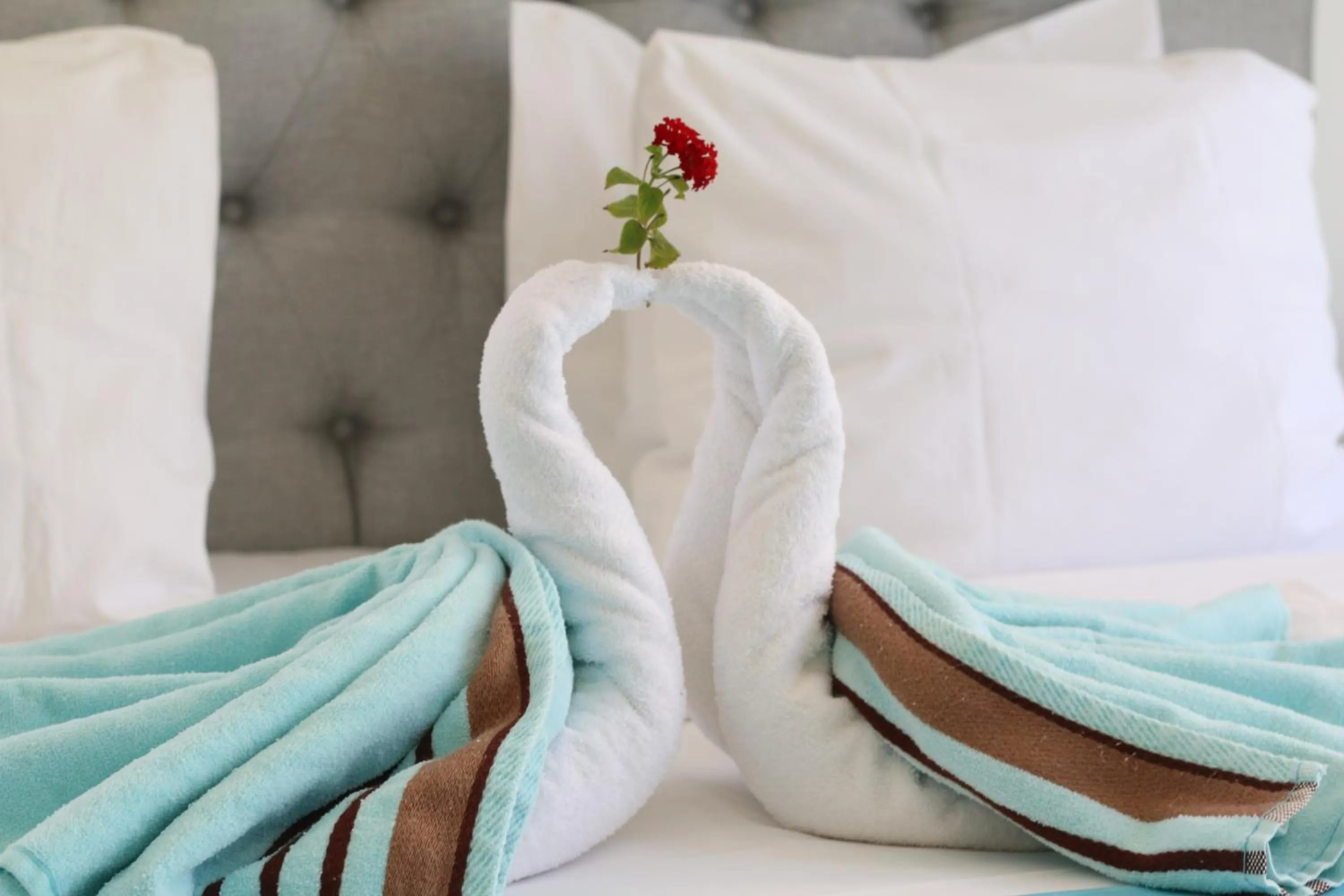 Bed in Hotel Islander Bonaire