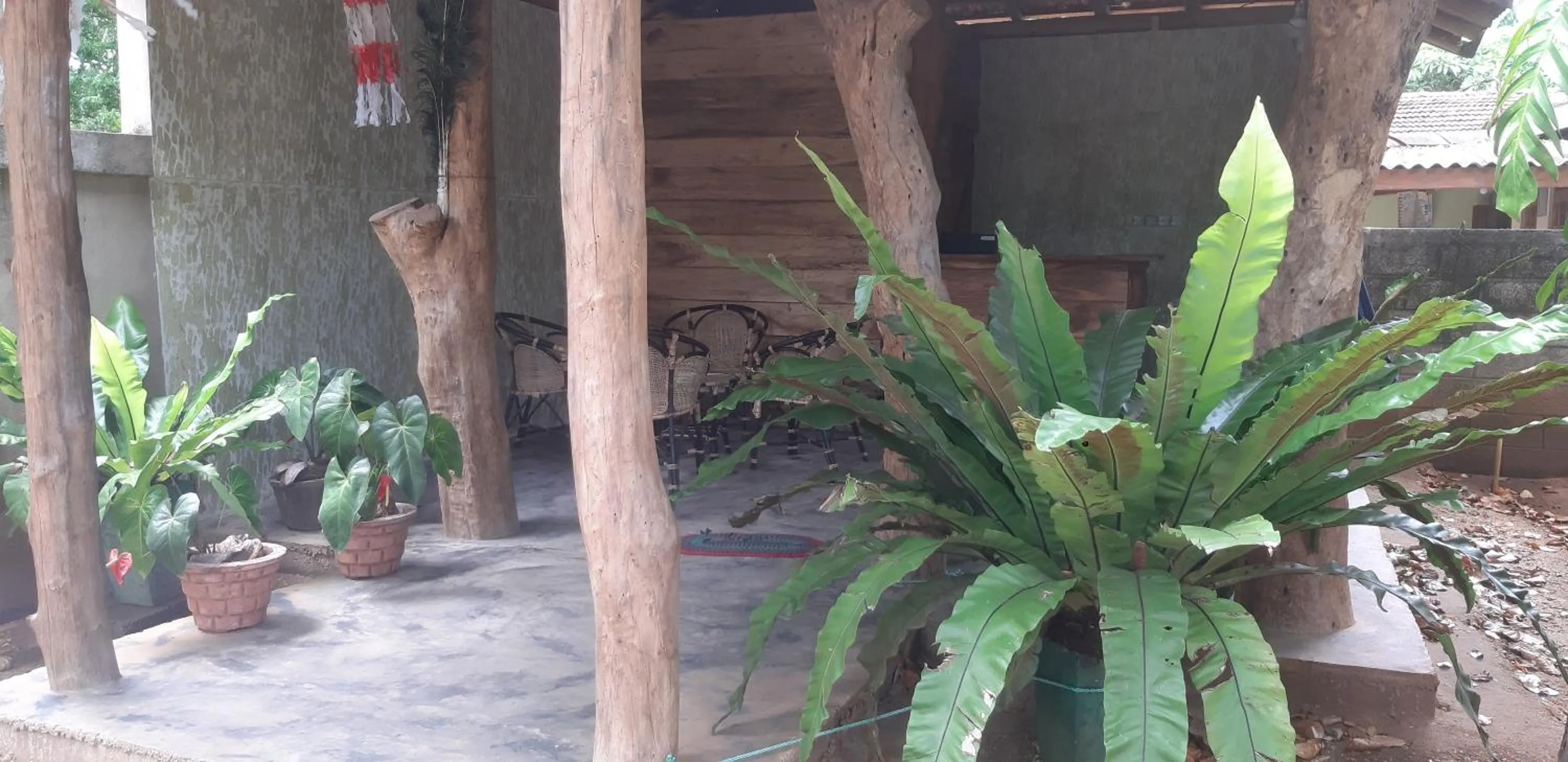 Garden in Butterfly Homestead Hotel