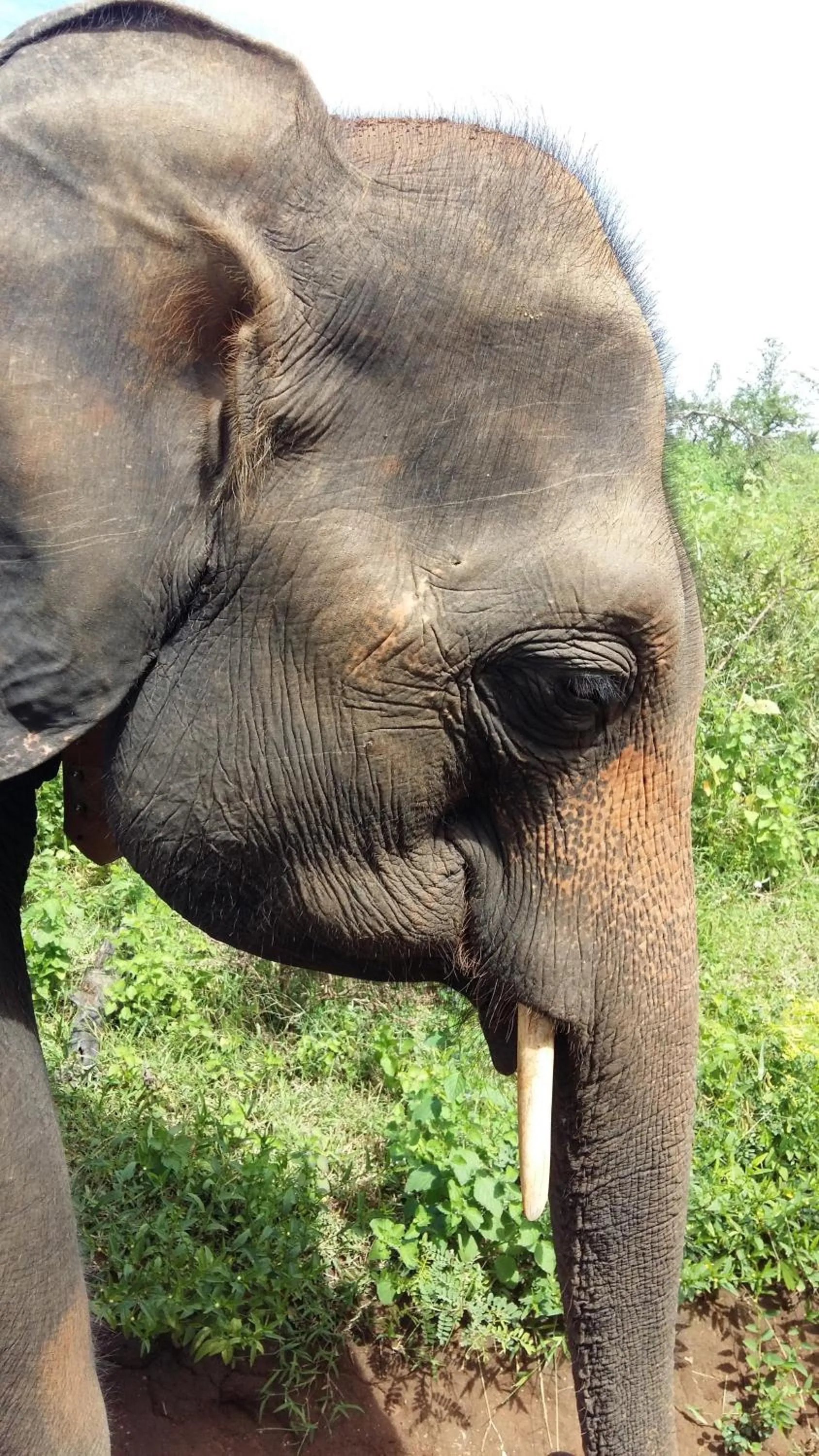 Day in Butterfly Homestead Hotel