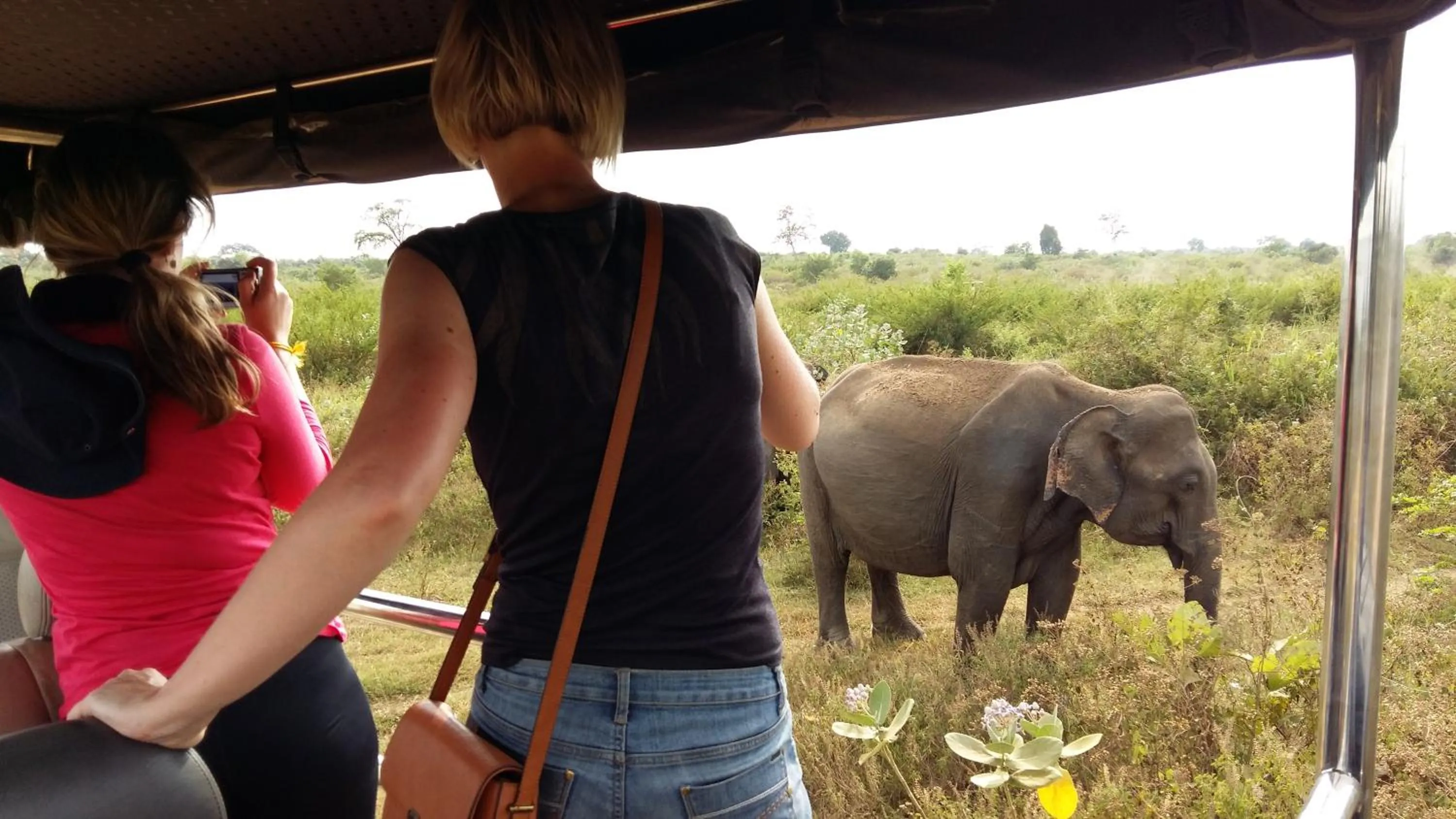 Day in Butterfly Homestead Hotel