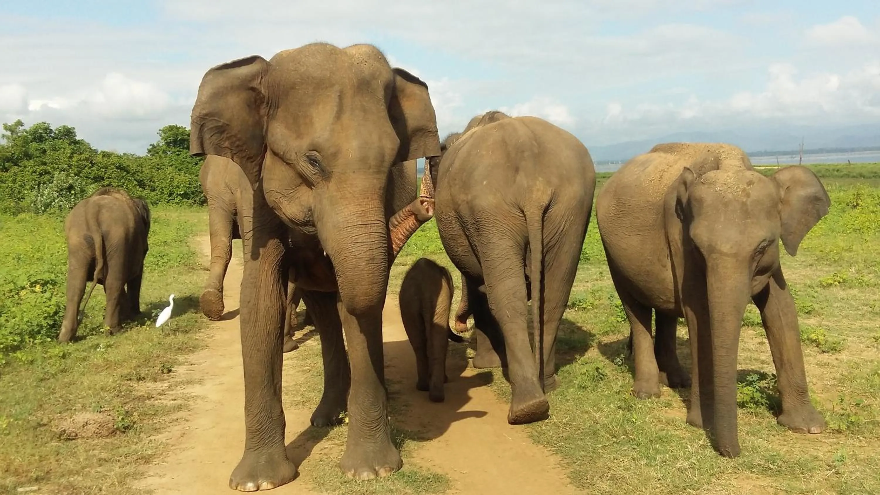 Day in Butterfly Homestead Hotel