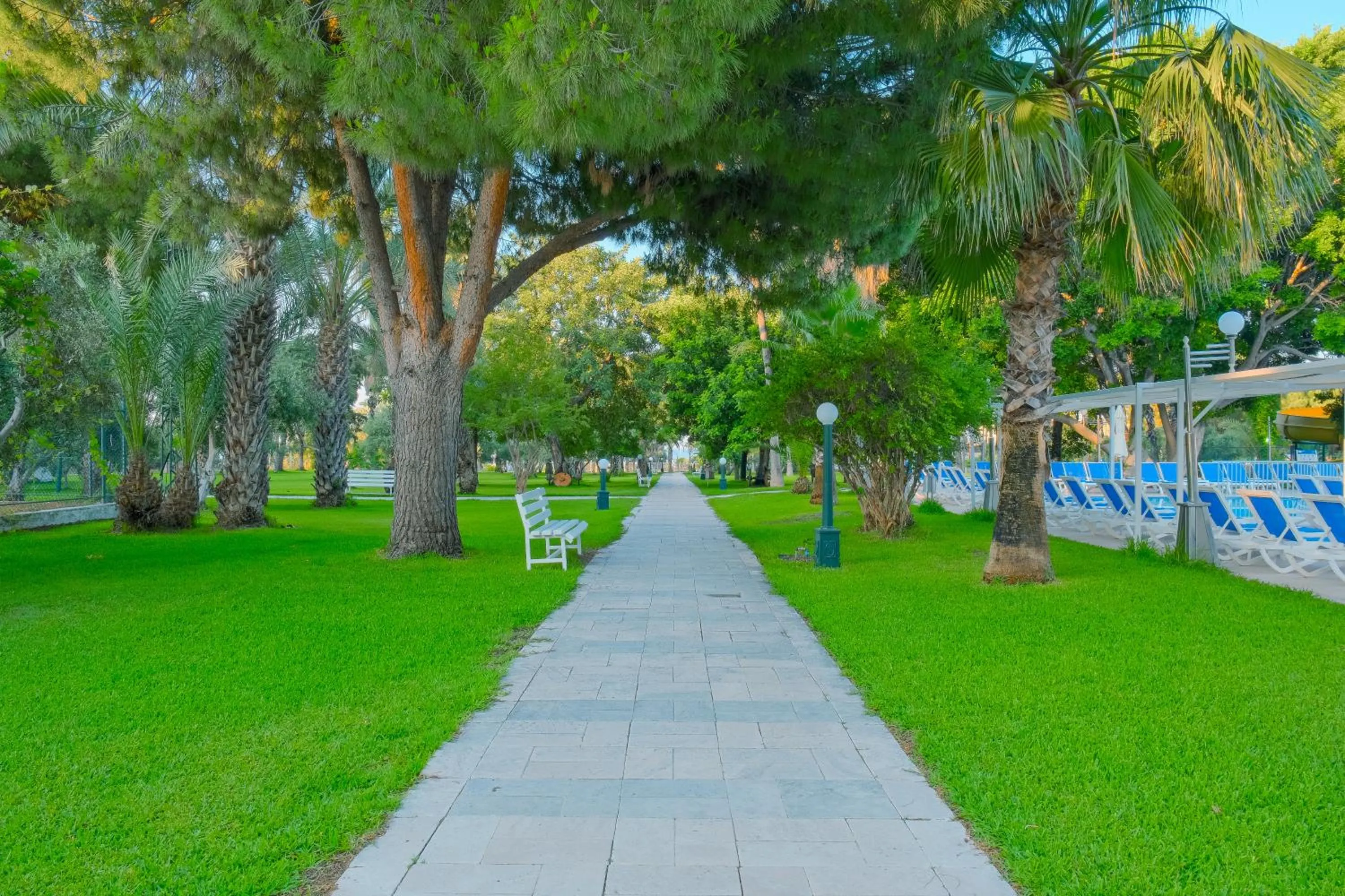 Garden in Sural Hotel