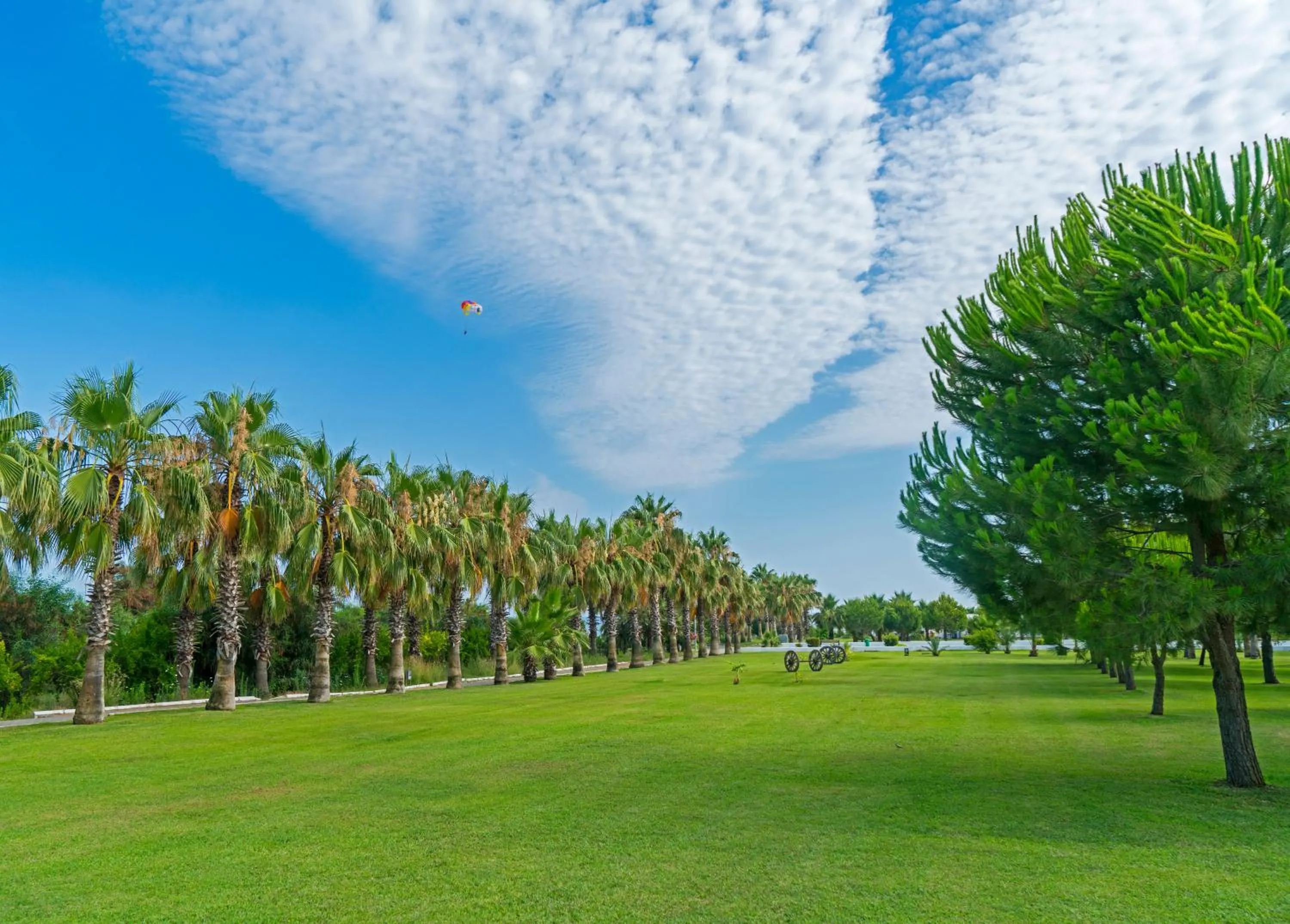 Garden in Sural Resort Hotel