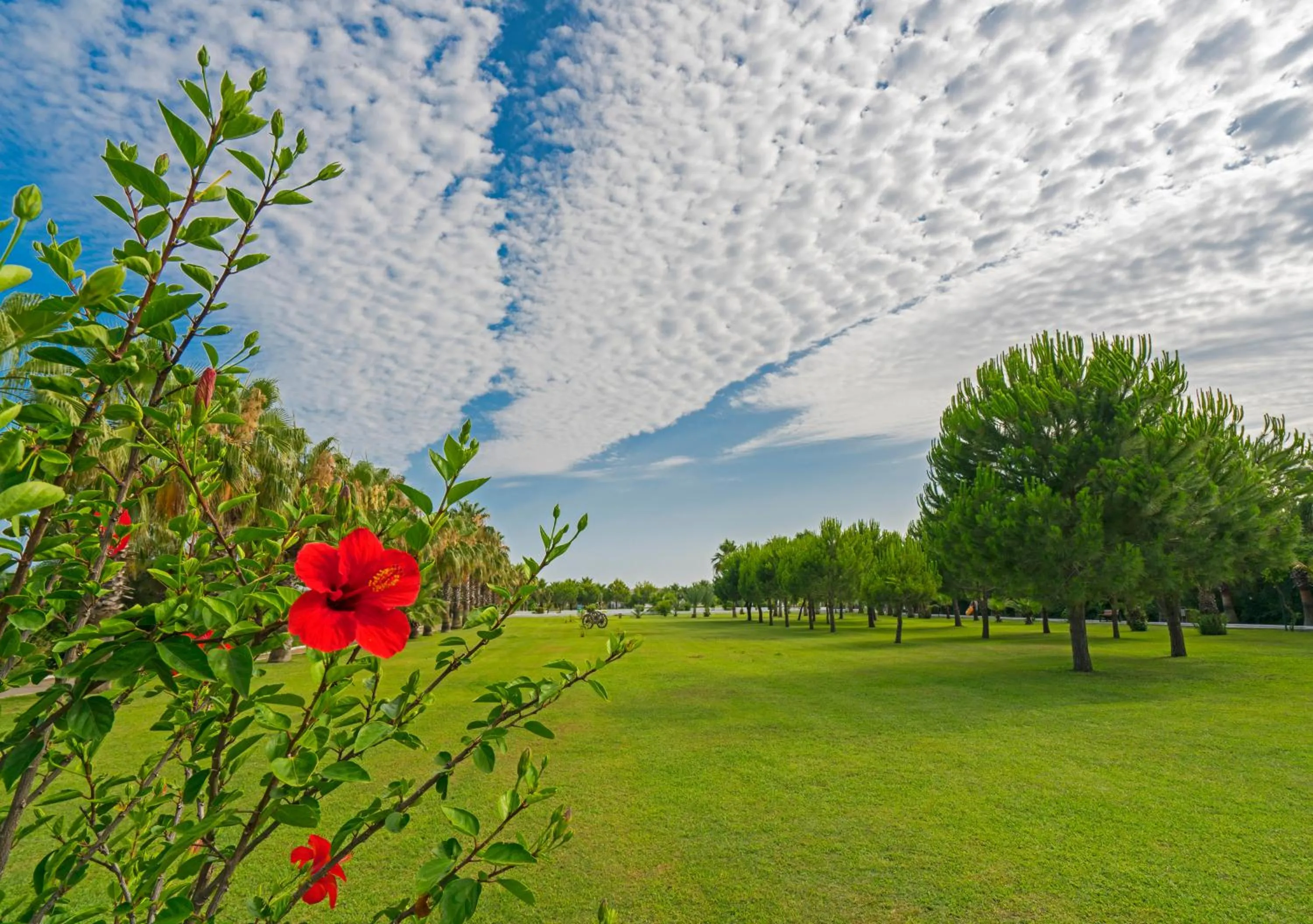 Garden in Sural Resort Hotel