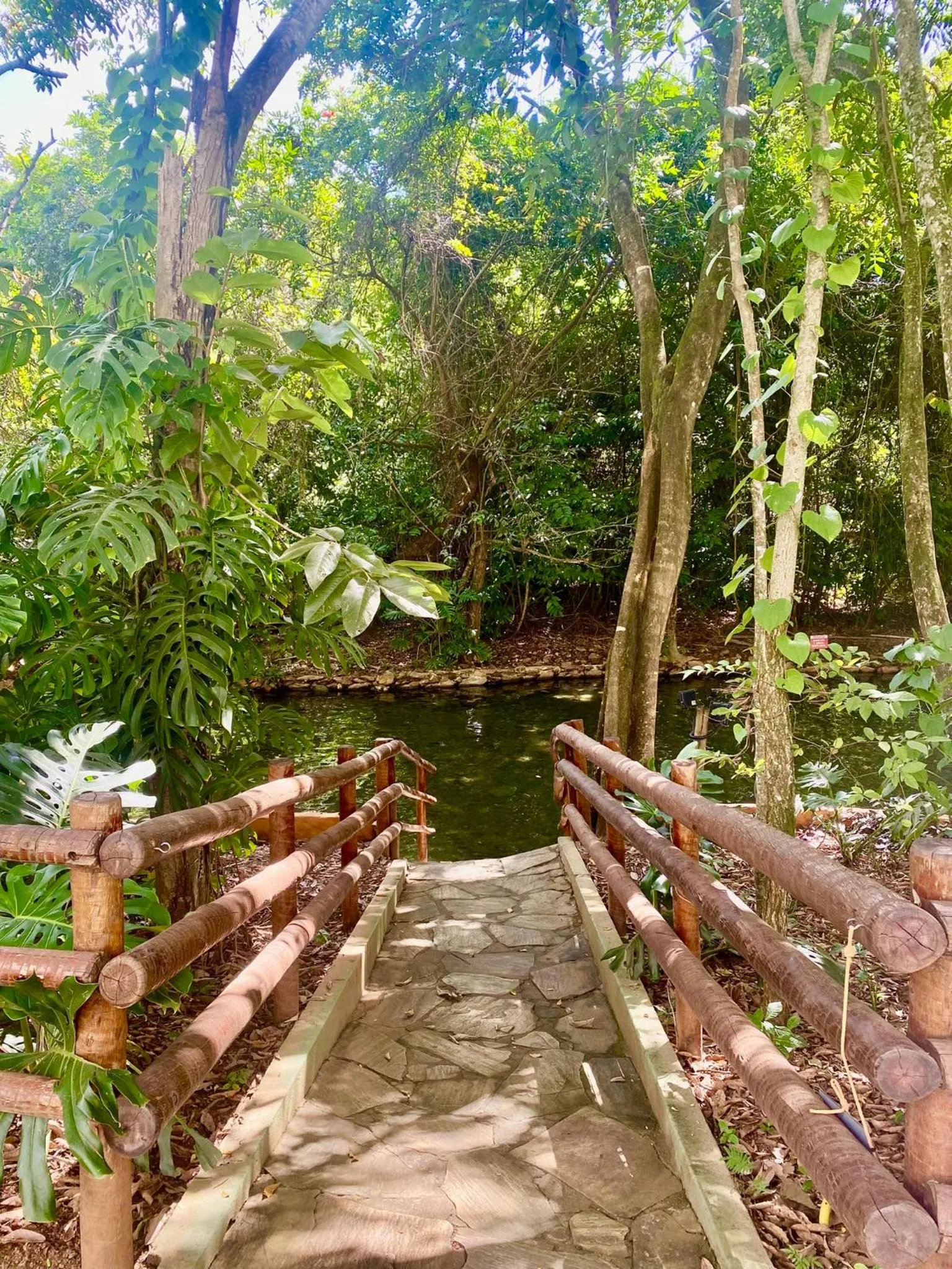 Natural landscape in IMG Hotel Rio Quente