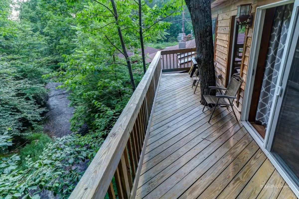 Natural landscape in Magnolia Streamside Resort