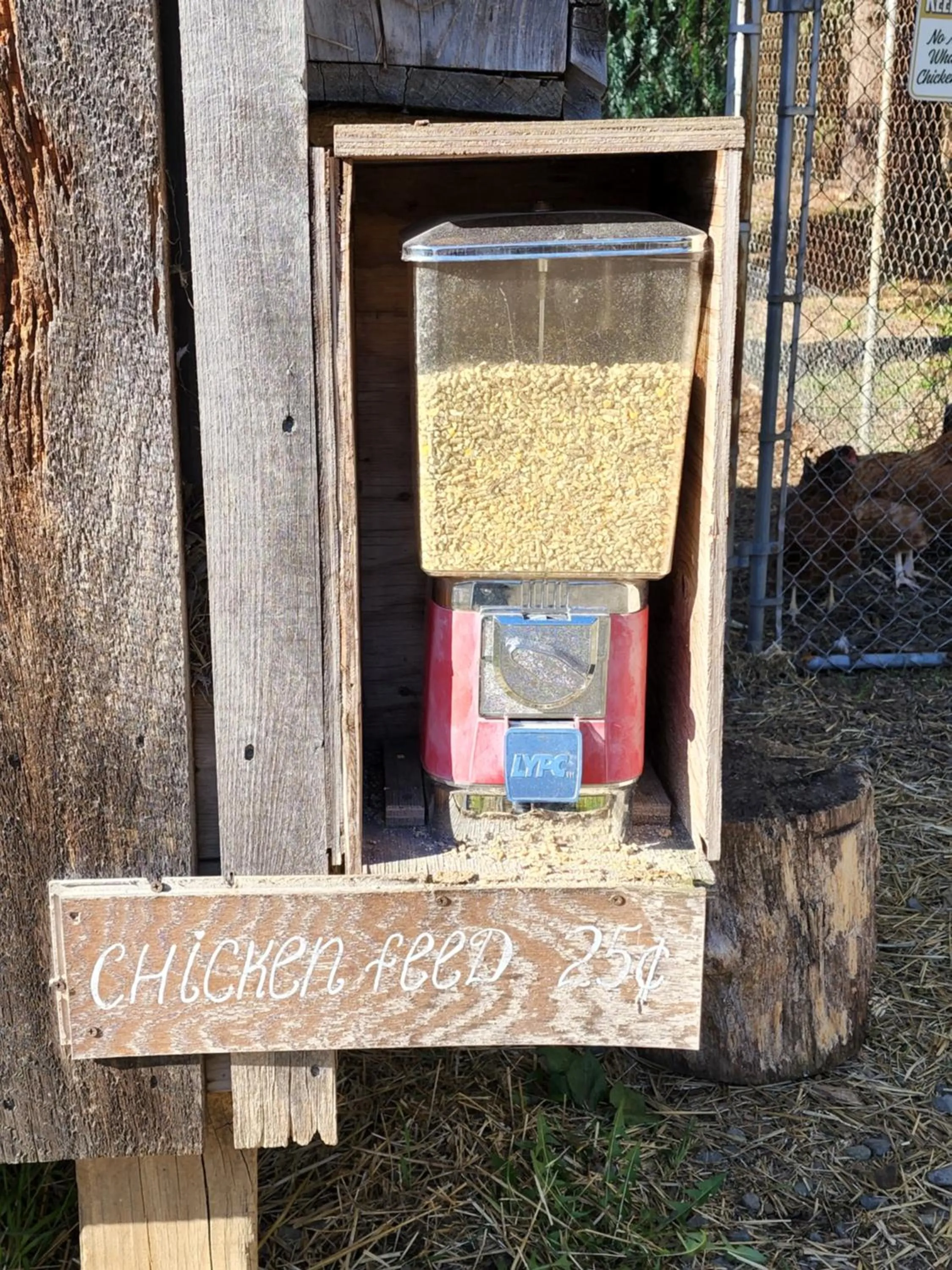 Animals in Magnolia Streamside Resort