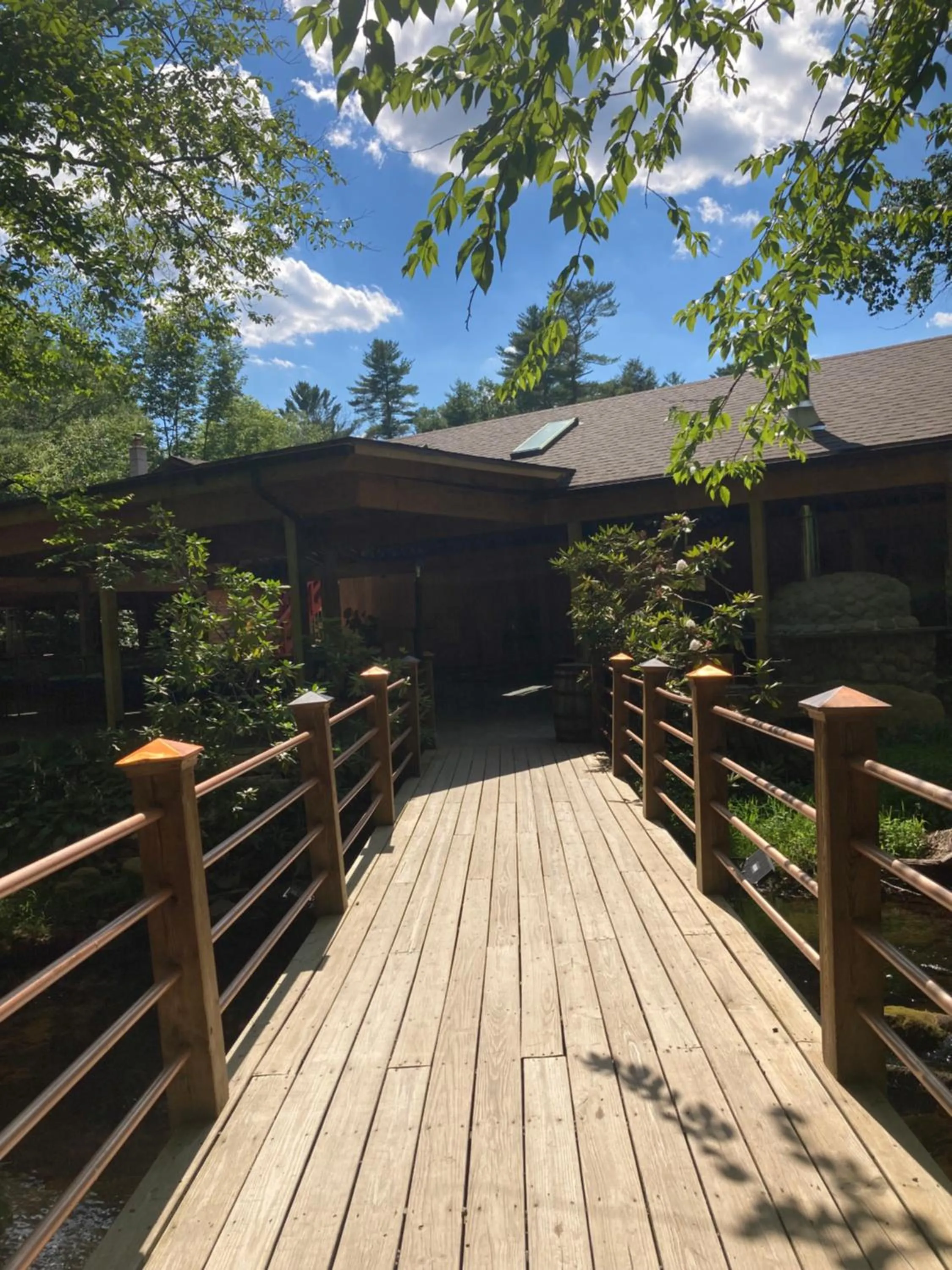 Natural landscape in Magnolia Streamside Resort